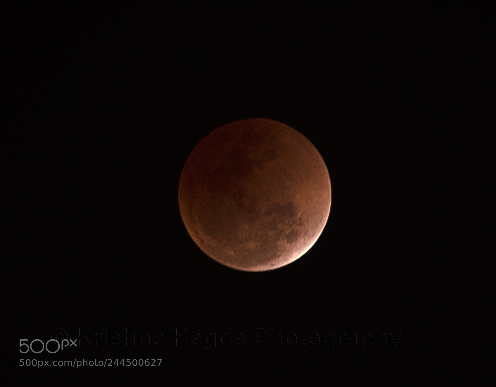Nikon D610 sample photo. Super blood moon photography