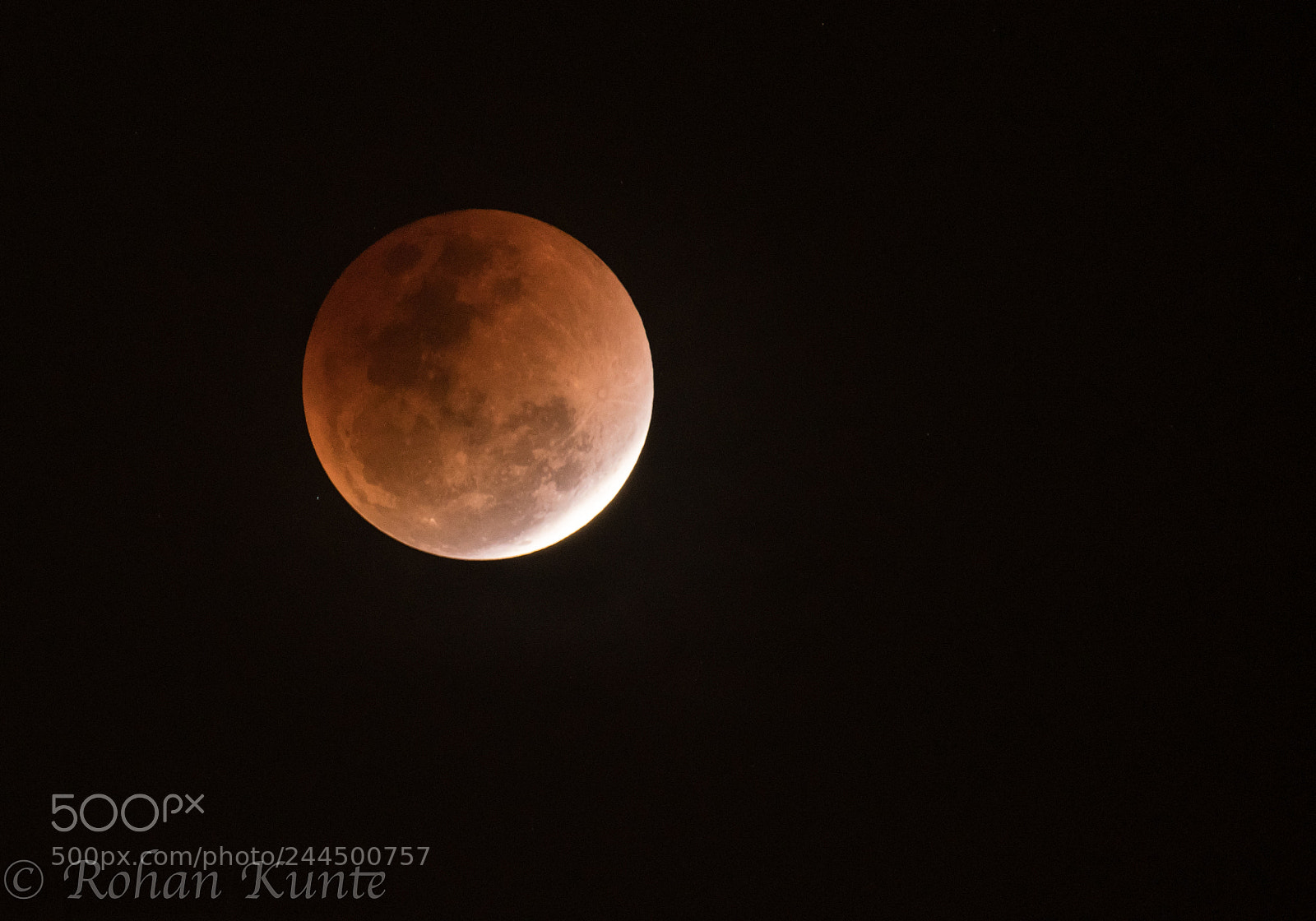 Nikon D500 sample photo. Super blue blood moon photography
