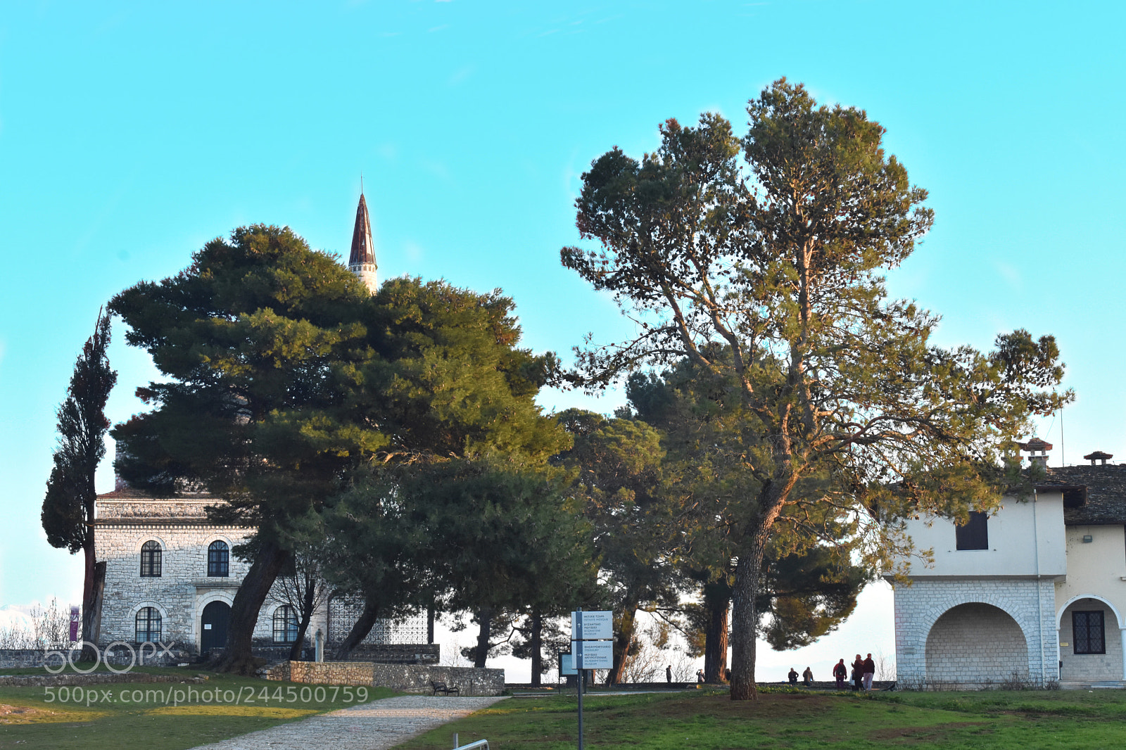 Nikon D3400 sample photo. Castle in the trees photography