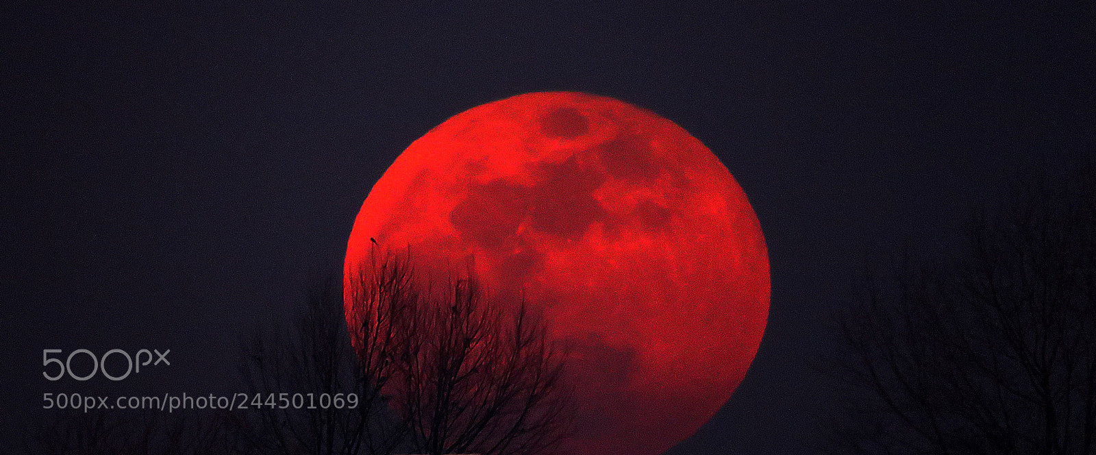 Canon PowerShot SX60 HS sample photo. Moon tonight photography