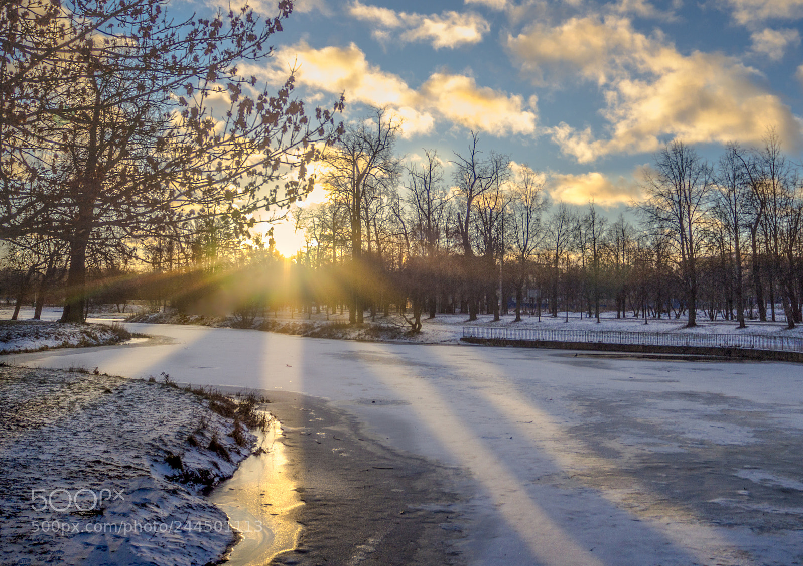 Olympus OM-D E-M10 II sample photo. Winter sun over the photography