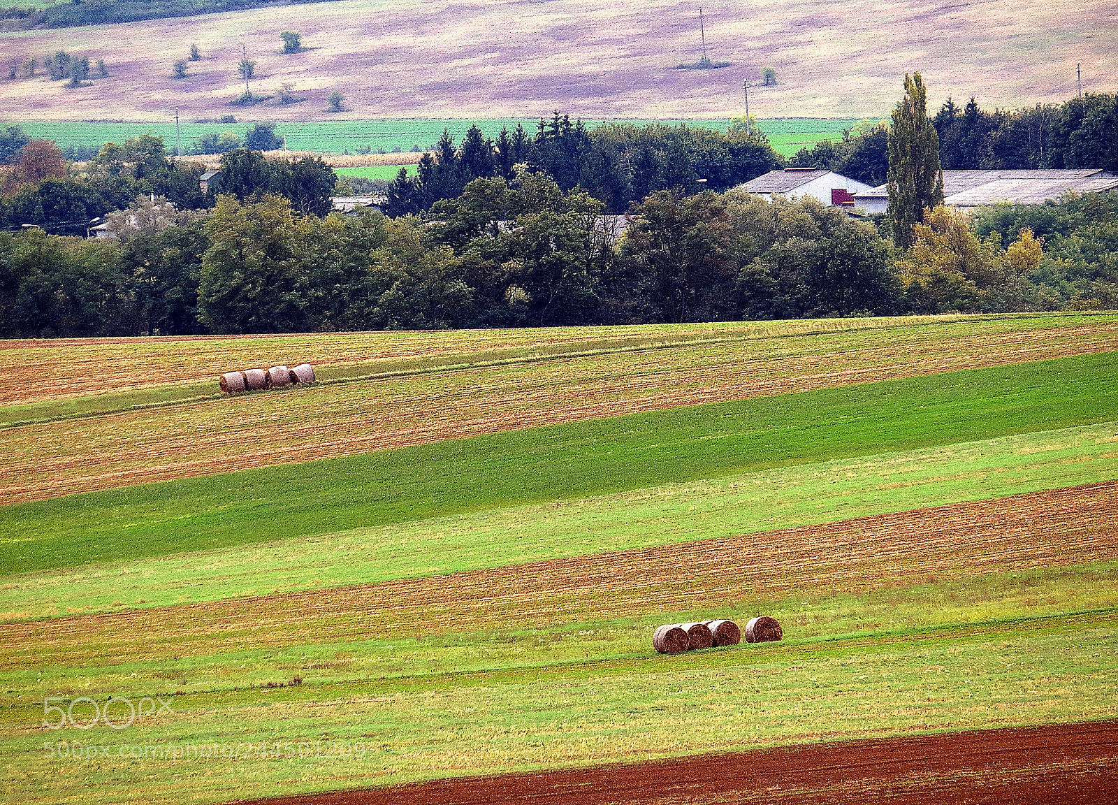 Canon PowerShot SX50 HS sample photo. Idyllic hillside photography