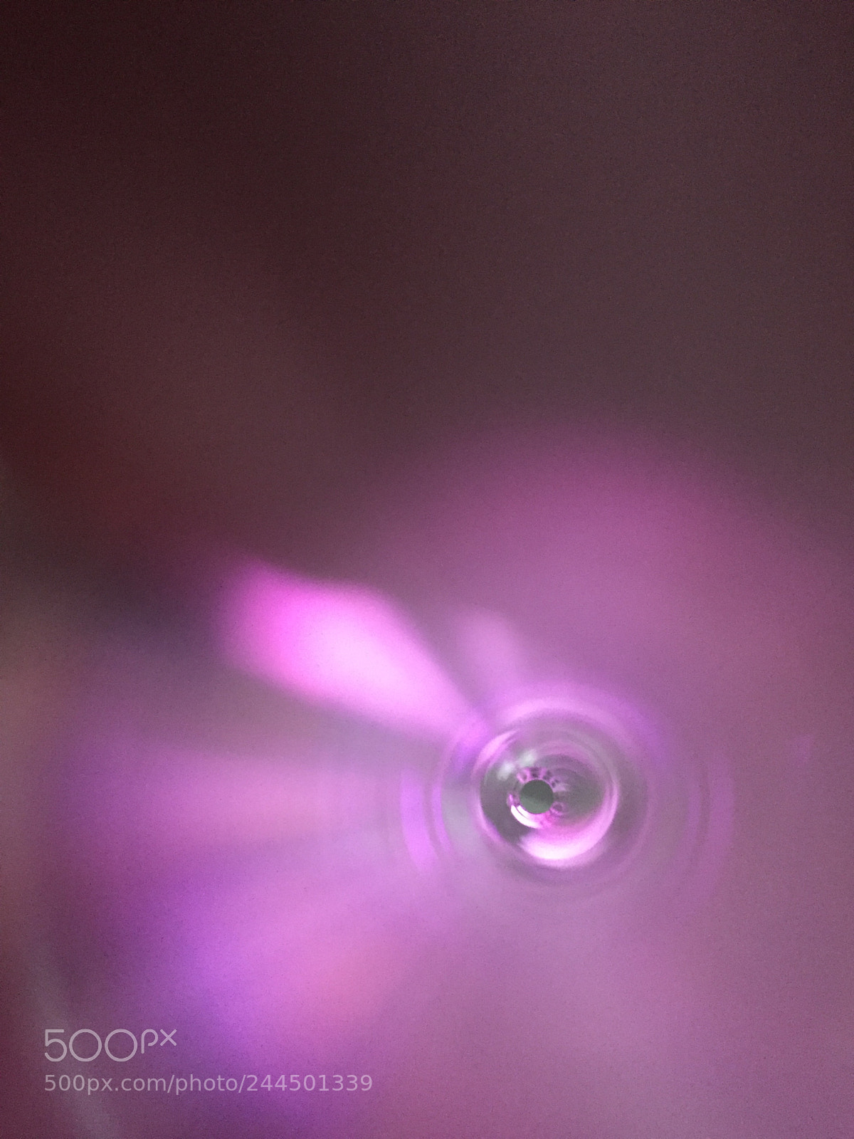 Apple iPhone 6 sample photo. Purple. photography