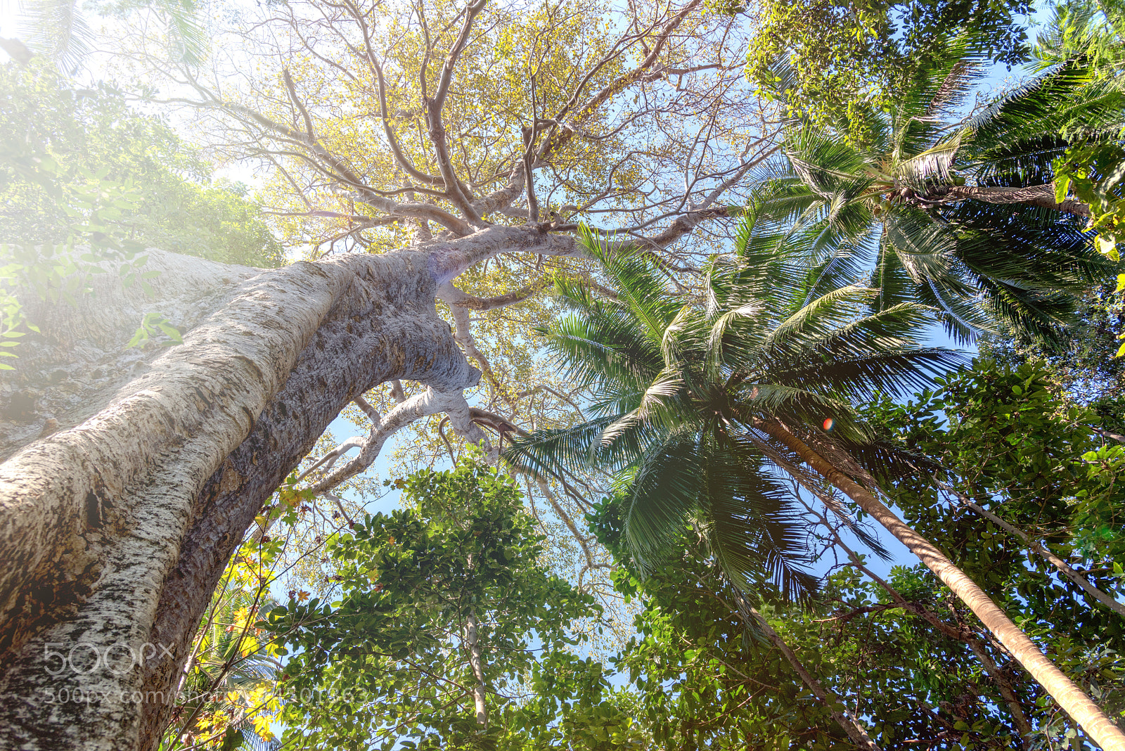 Nikon D810 sample photo. _cha2068-1.jpg photography