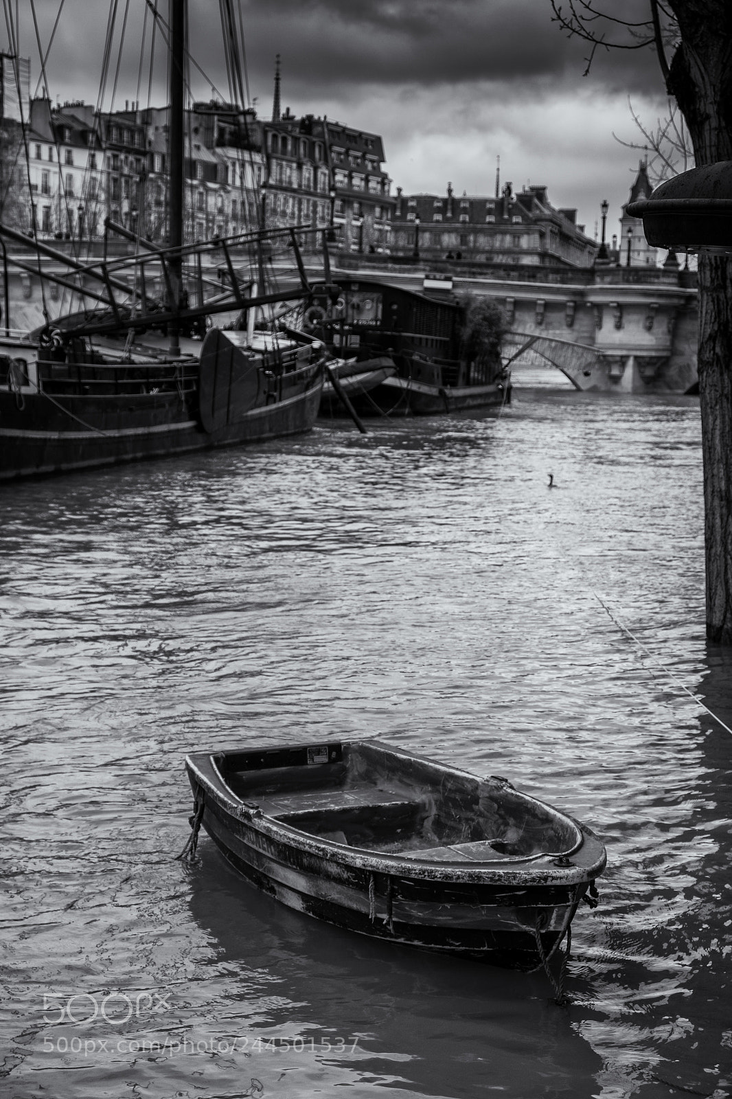 Fujifilm X-T20 sample photo. Don't rock my boat photography