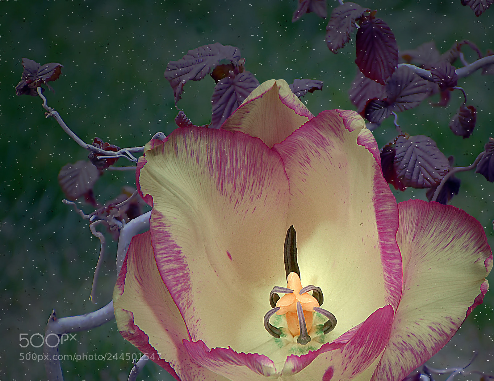 Nikon D40 sample photo. Untitled photography