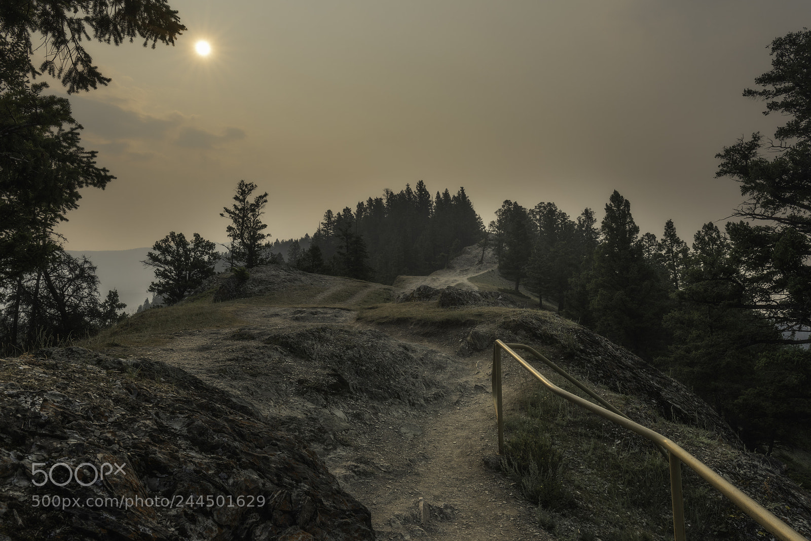 Nikon D810 sample photo. Smokey hiking trail at photography