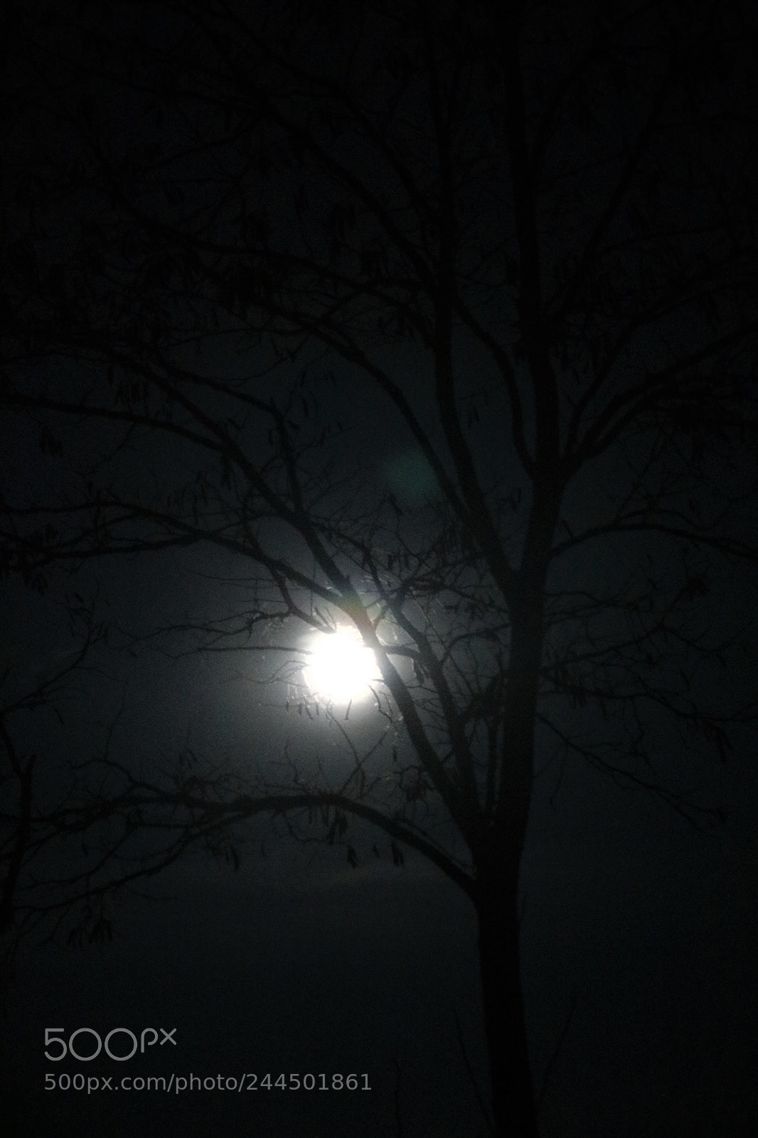 Canon EOS 750D (EOS Rebel T6i / EOS Kiss X8i) sample photo. Img photography