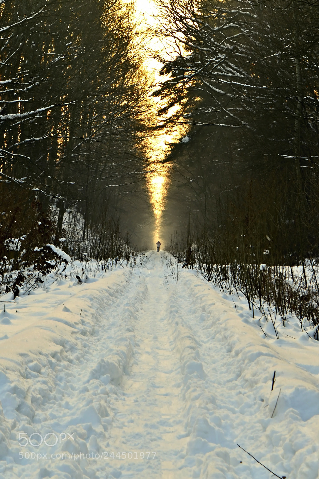 Nikon D3200 sample photo. Přicházející photography