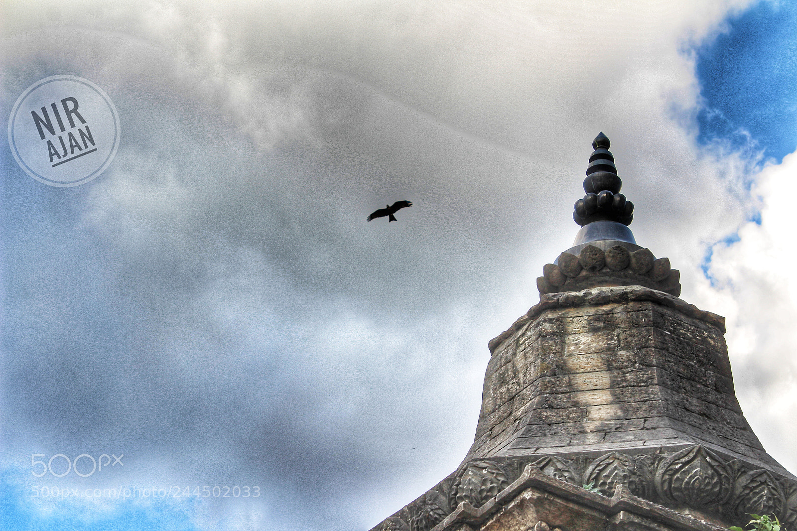 Canon EOS 650D (EOS Rebel T4i / EOS Kiss X6i) sample photo. Flying eagle photography
