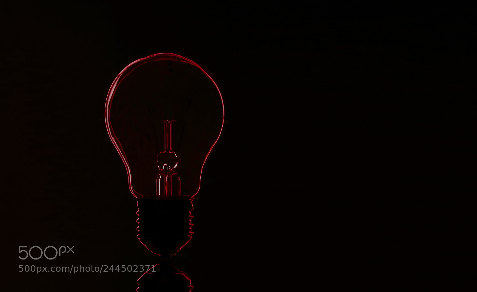 Nikon D5000 sample photo. Light bulb photography