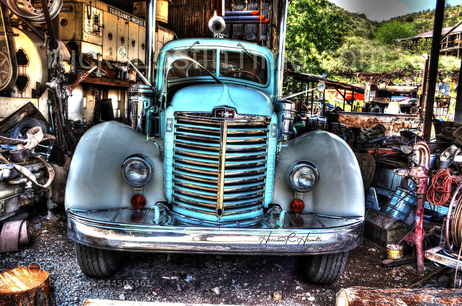 Nikon D5100 sample photo. The other woman photography