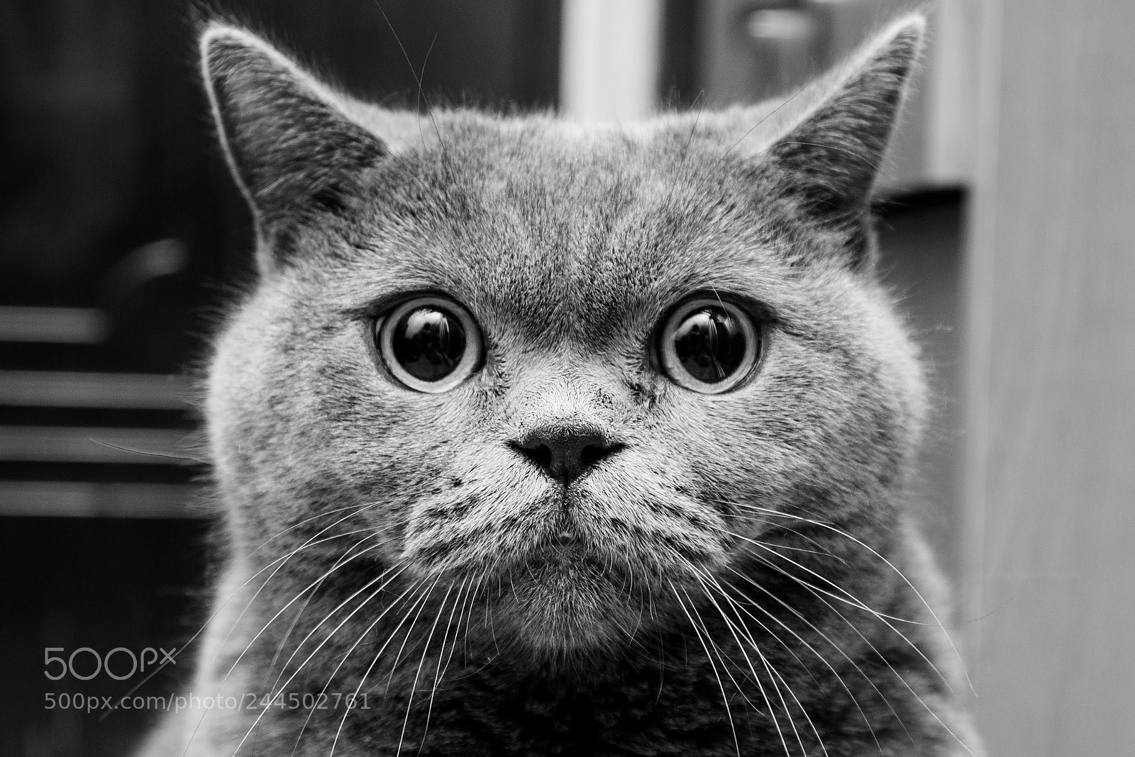 Nikon D600 sample photo. Wow photography