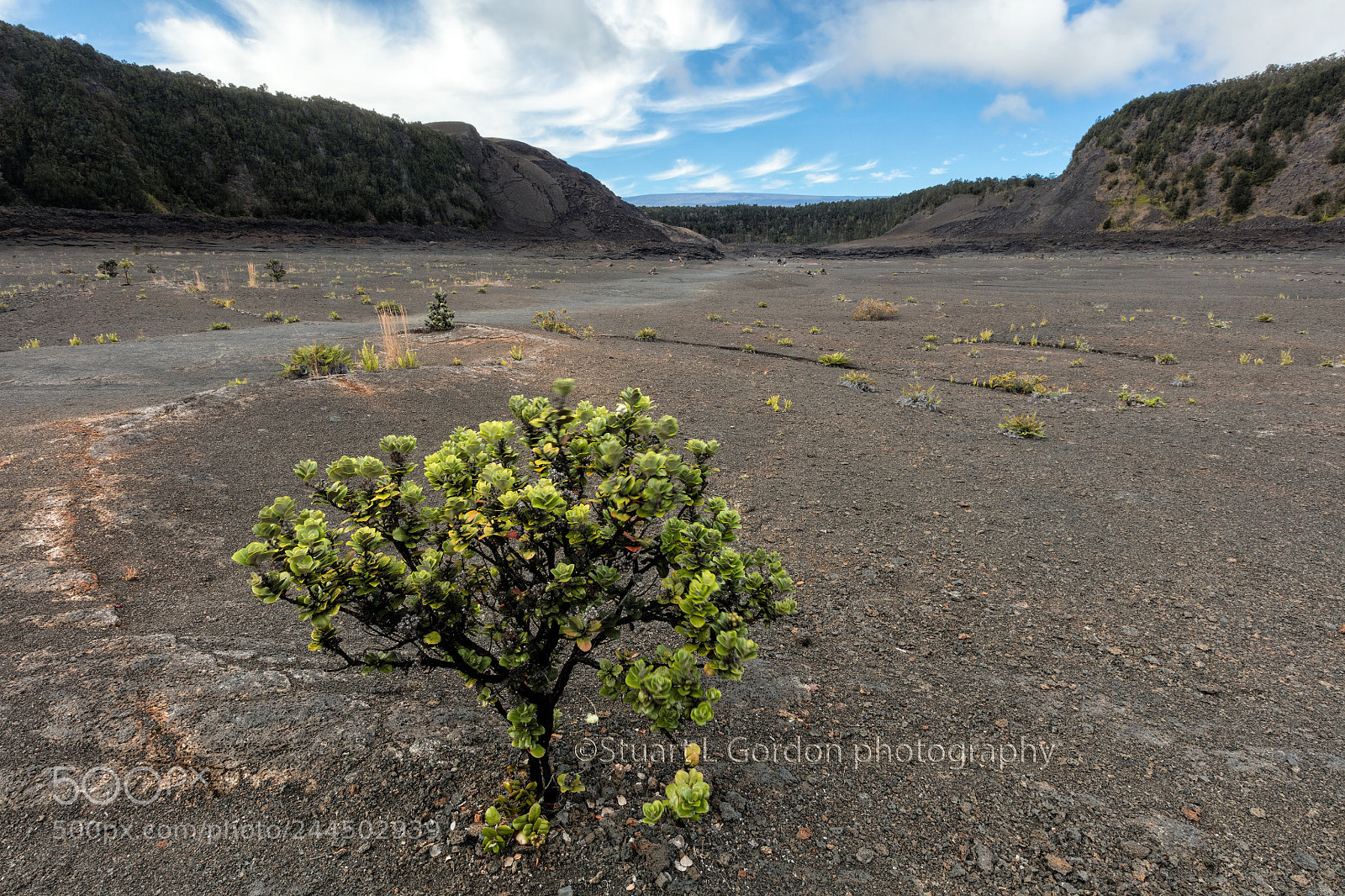 Canon EOS 5DS R sample photo. Lava bed, kilauea iki photography