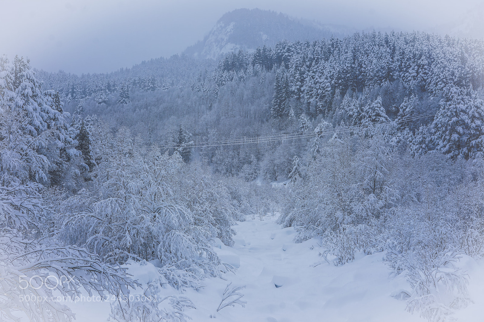 Sony a7 II sample photo. 101% winter photography