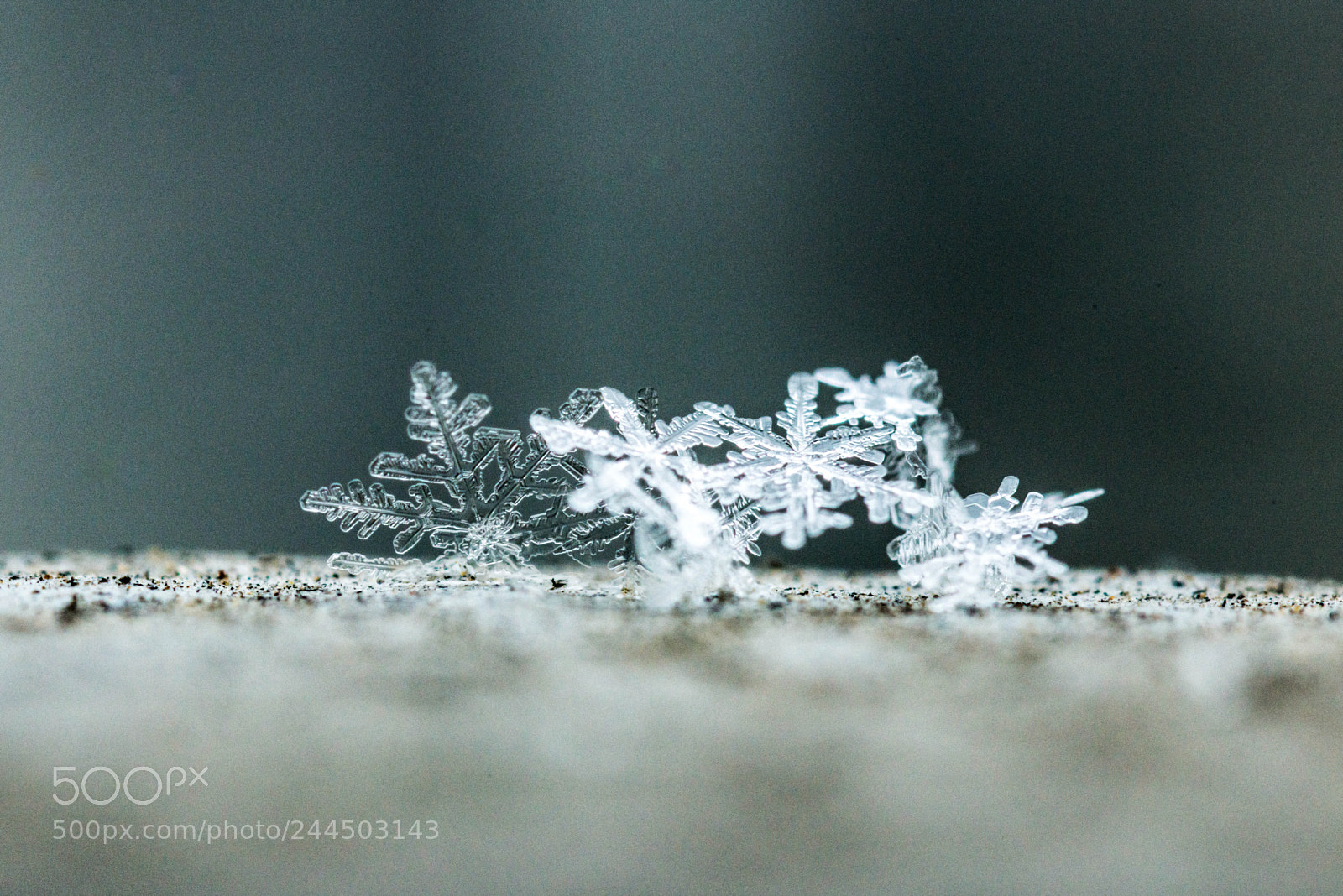Nikon D800 sample photo. Piece of ice photography