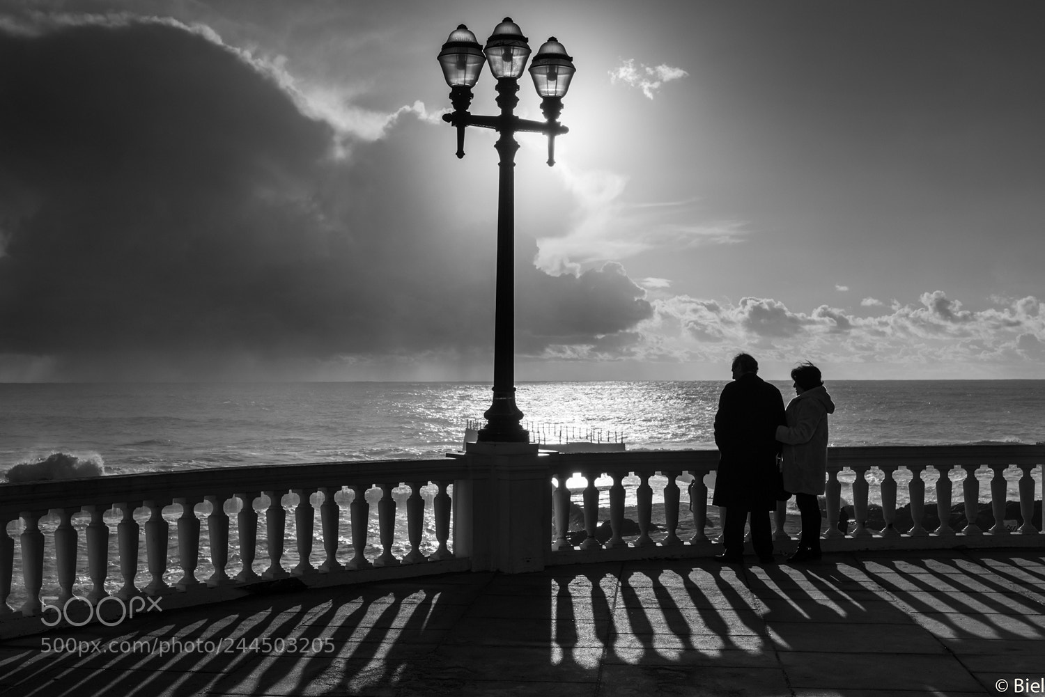 Nikon D610 sample photo. At the end of photography