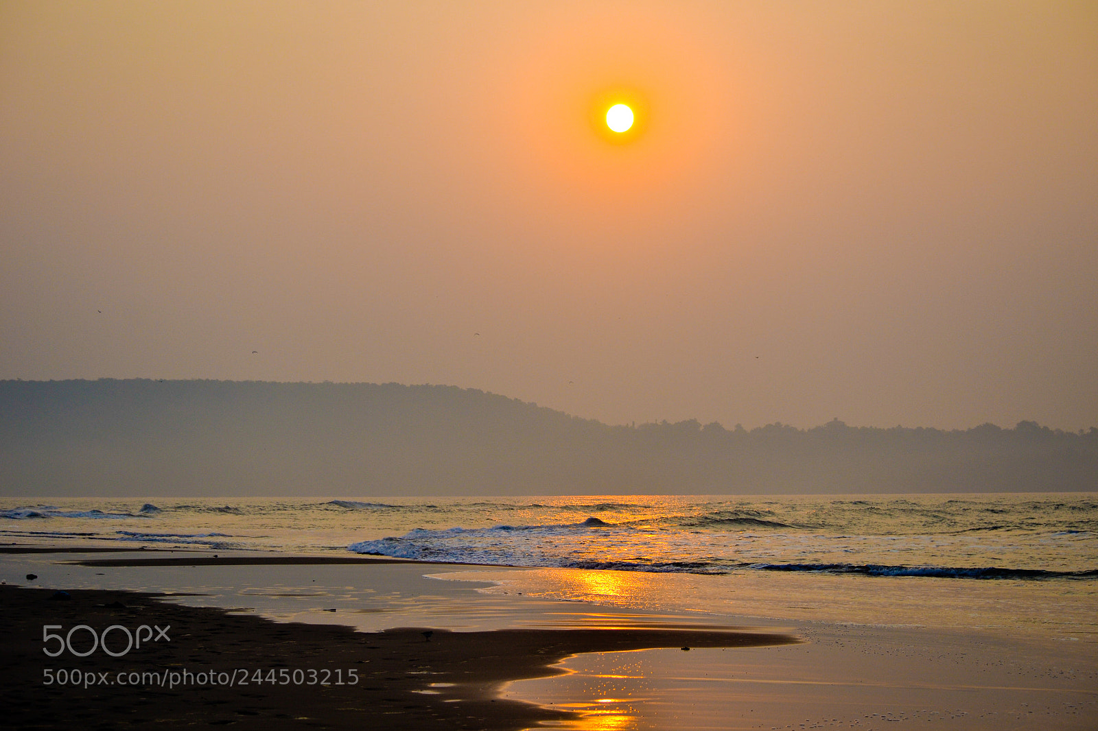 Nikon D3100 sample photo. Morning bliss photography