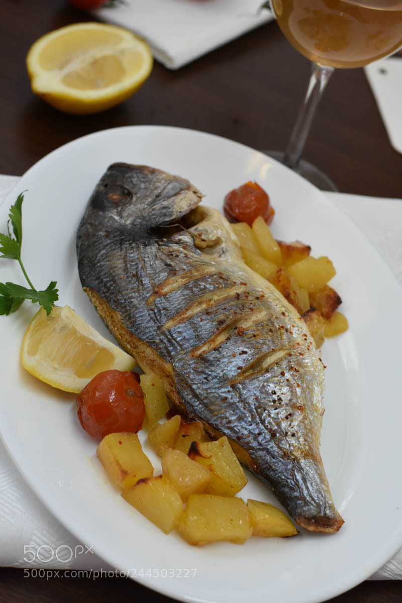 Nikon D7200 sample photo. Dorada la cuptor photography