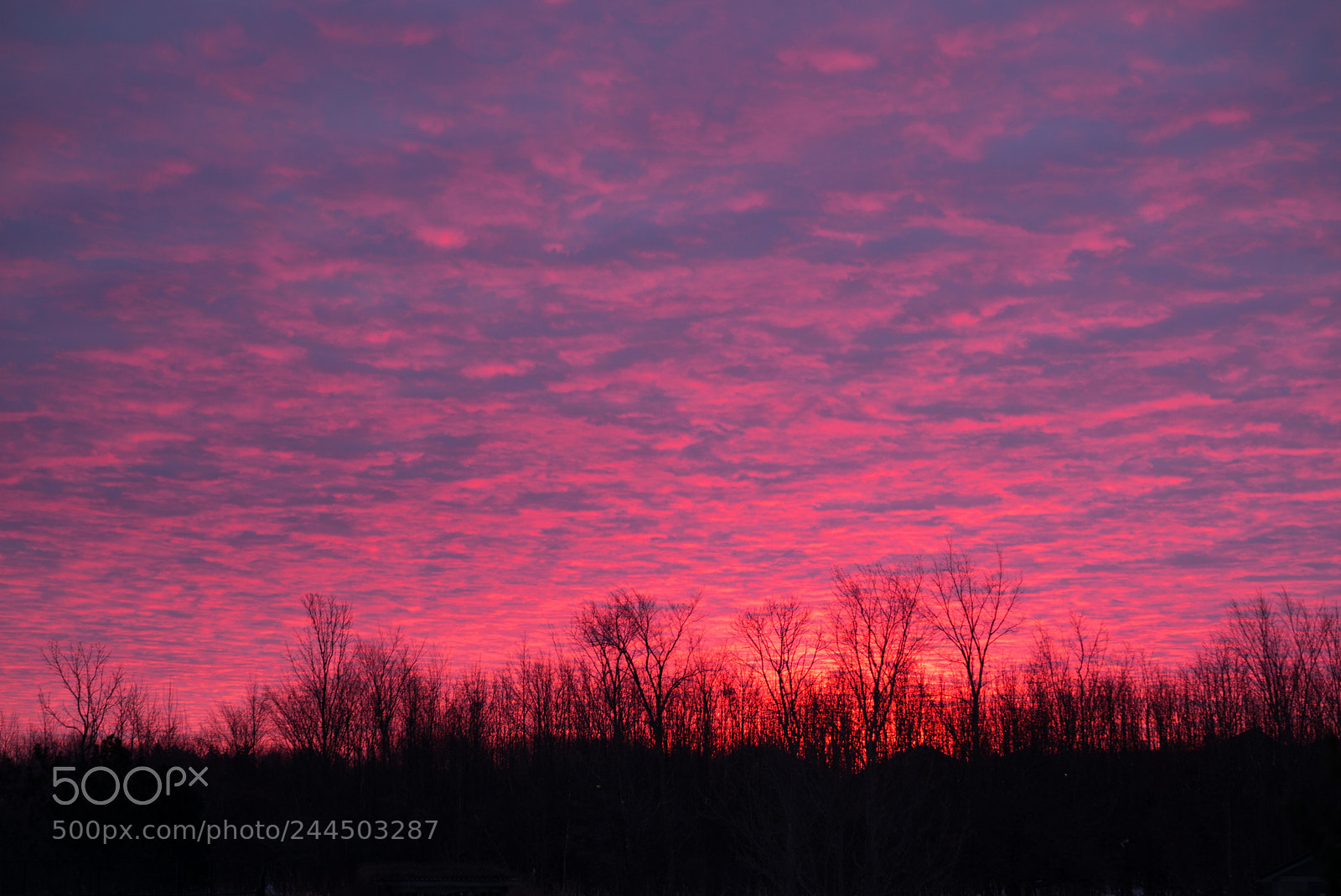 Leica M (Typ 240) sample photo. Winter sunrise photography