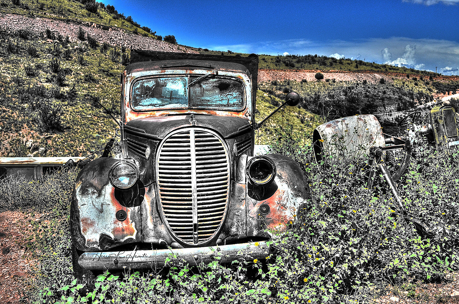 Nikon D5100 sample photo. Out to pasture photography