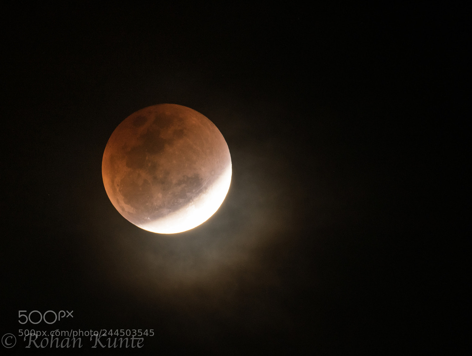 Nikon D500 sample photo. Super blue blood moon photography