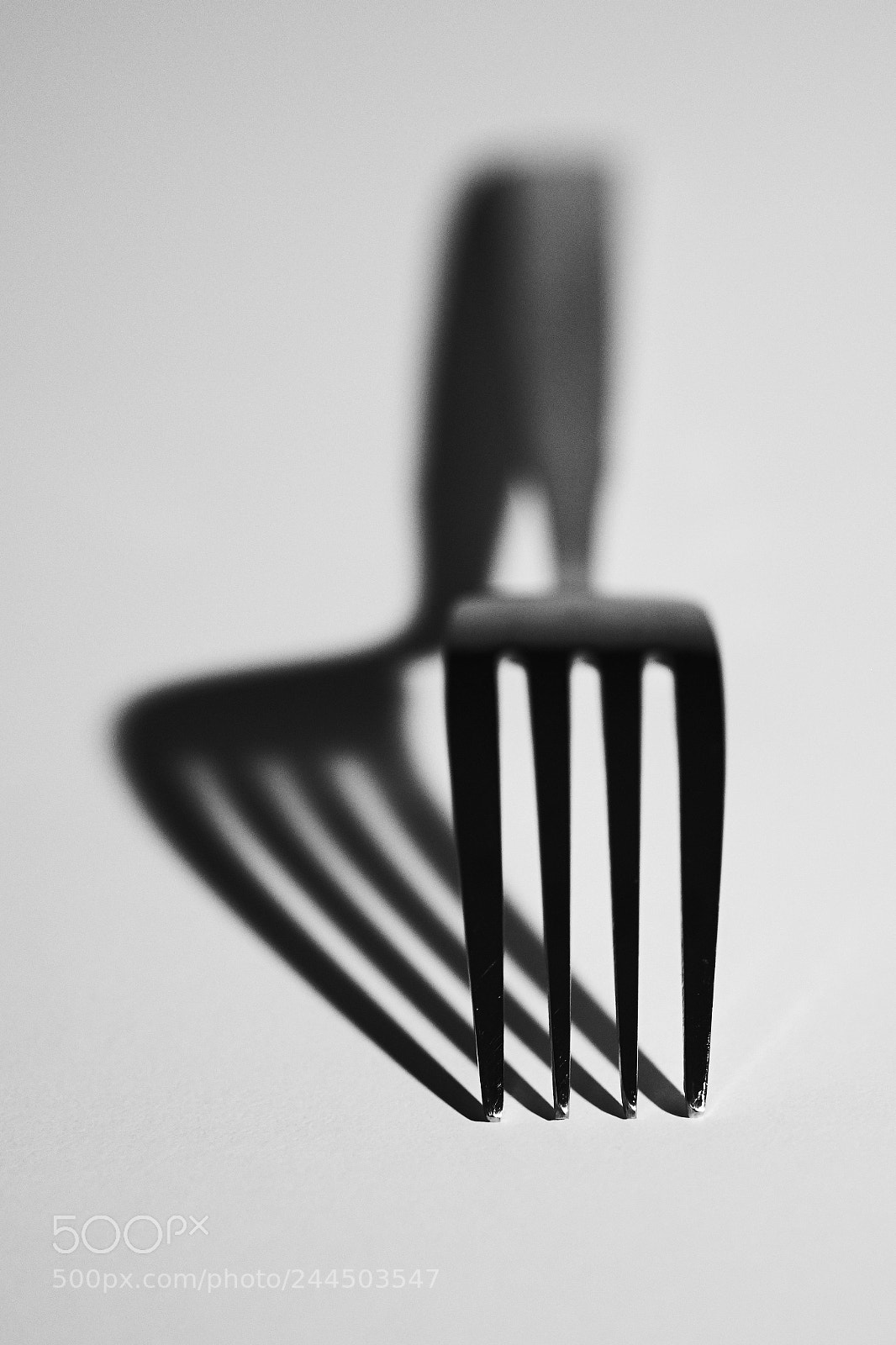 Fujifilm X-T2 sample photo. Fork shadow photography