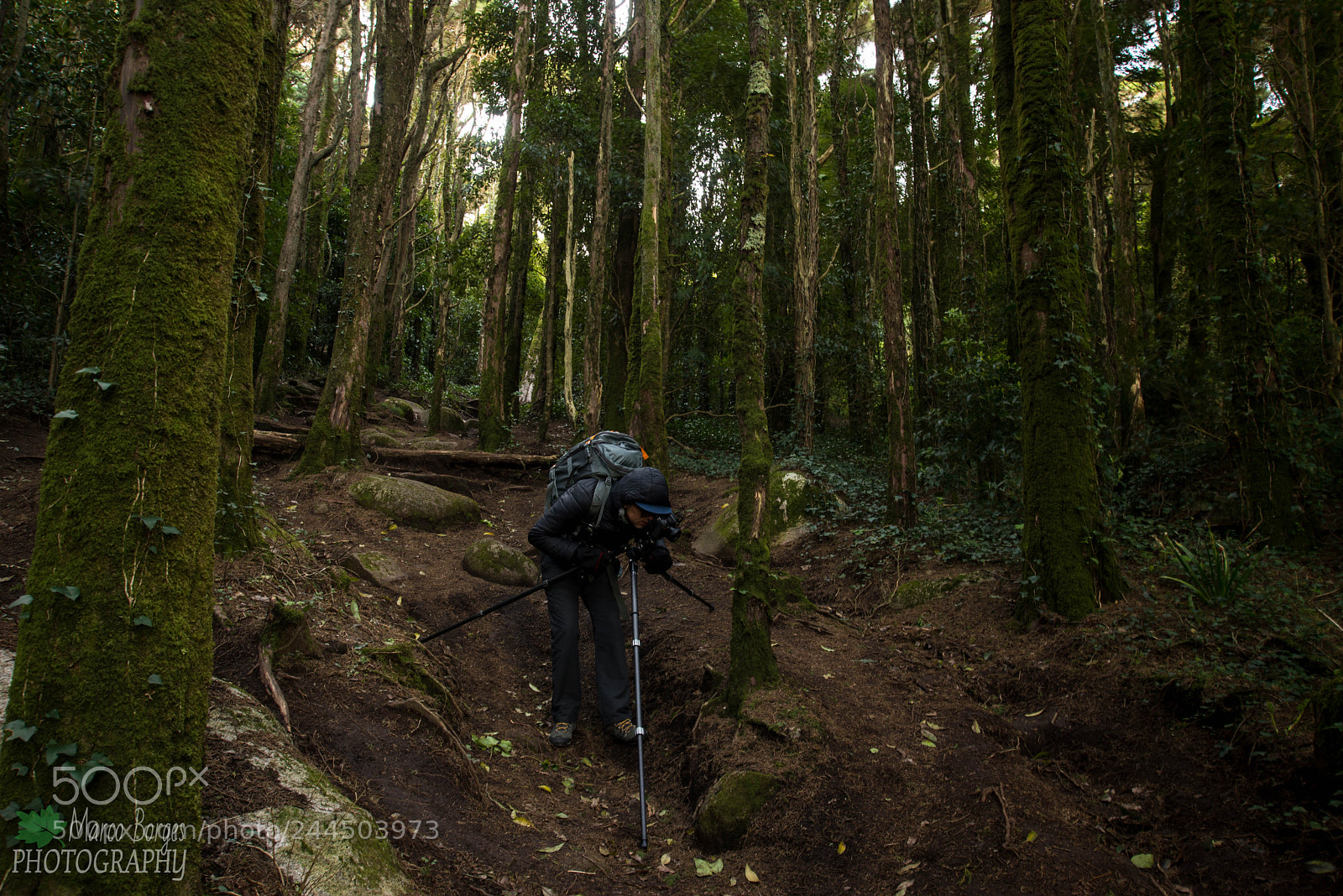 Nikon D610 sample photo. The photographer capturing the photography