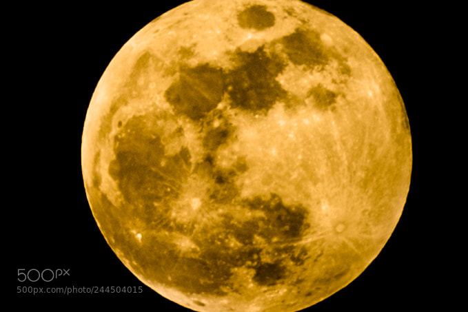 Nikon D610 sample photo. Super moon photography