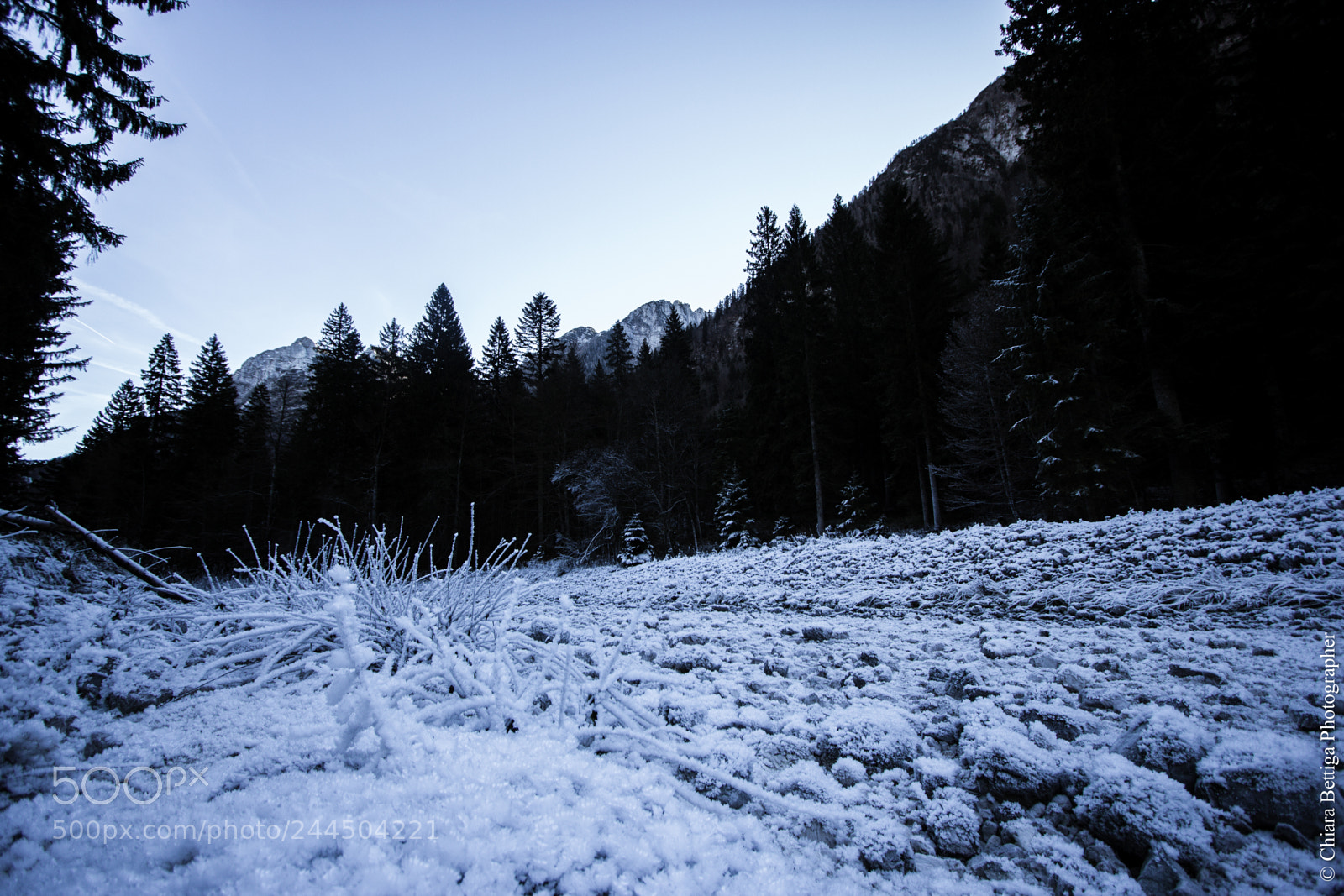 Canon EOS 550D (EOS Rebel T2i / EOS Kiss X4) sample photo. Cold days photography
