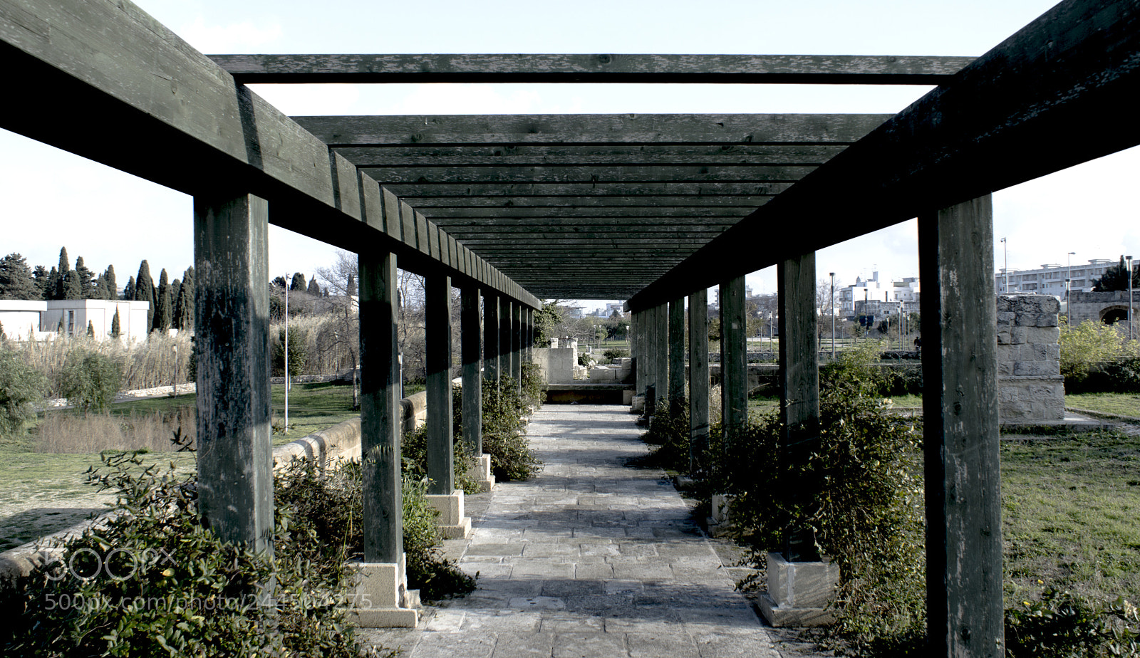 Sony SLT-A77 sample photo. 2.jpg photography