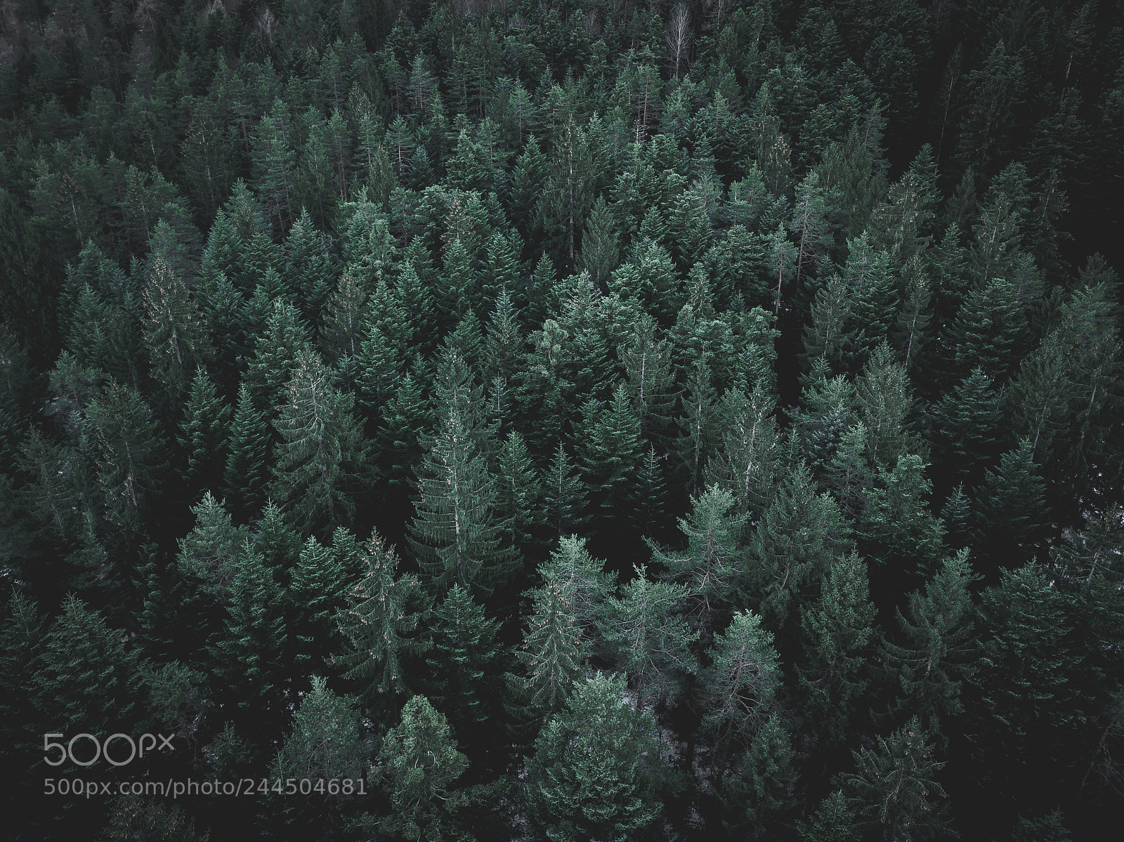 DJI FC220 sample photo. Dari mc photography