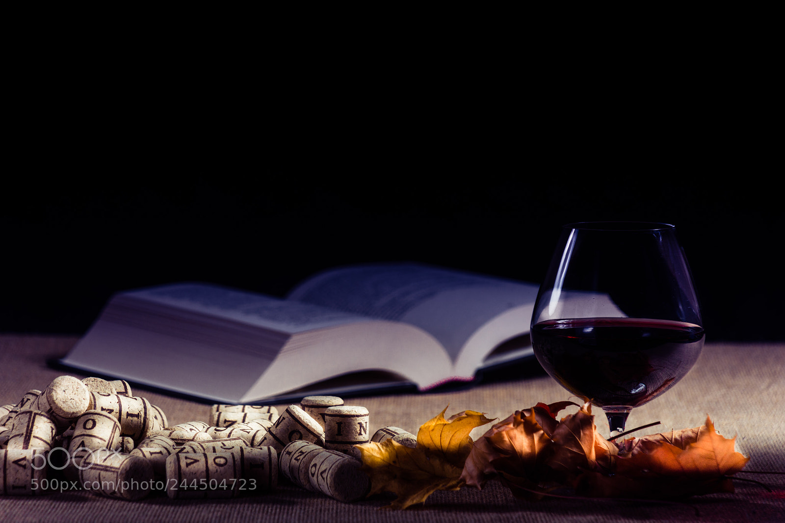 Nikon D7200 sample photo. Wine and book photography