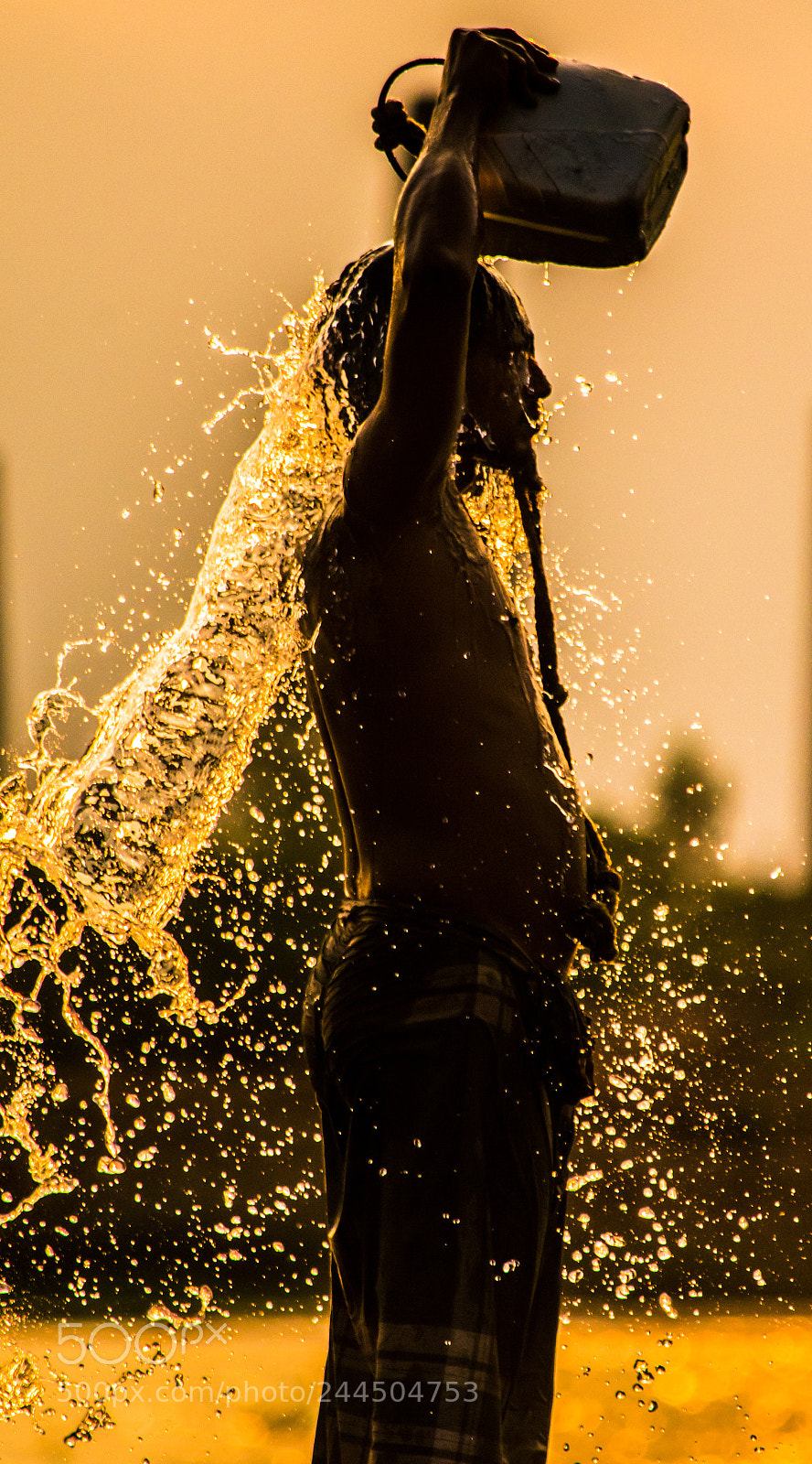 Nikon D7100 sample photo. Untitled photography
