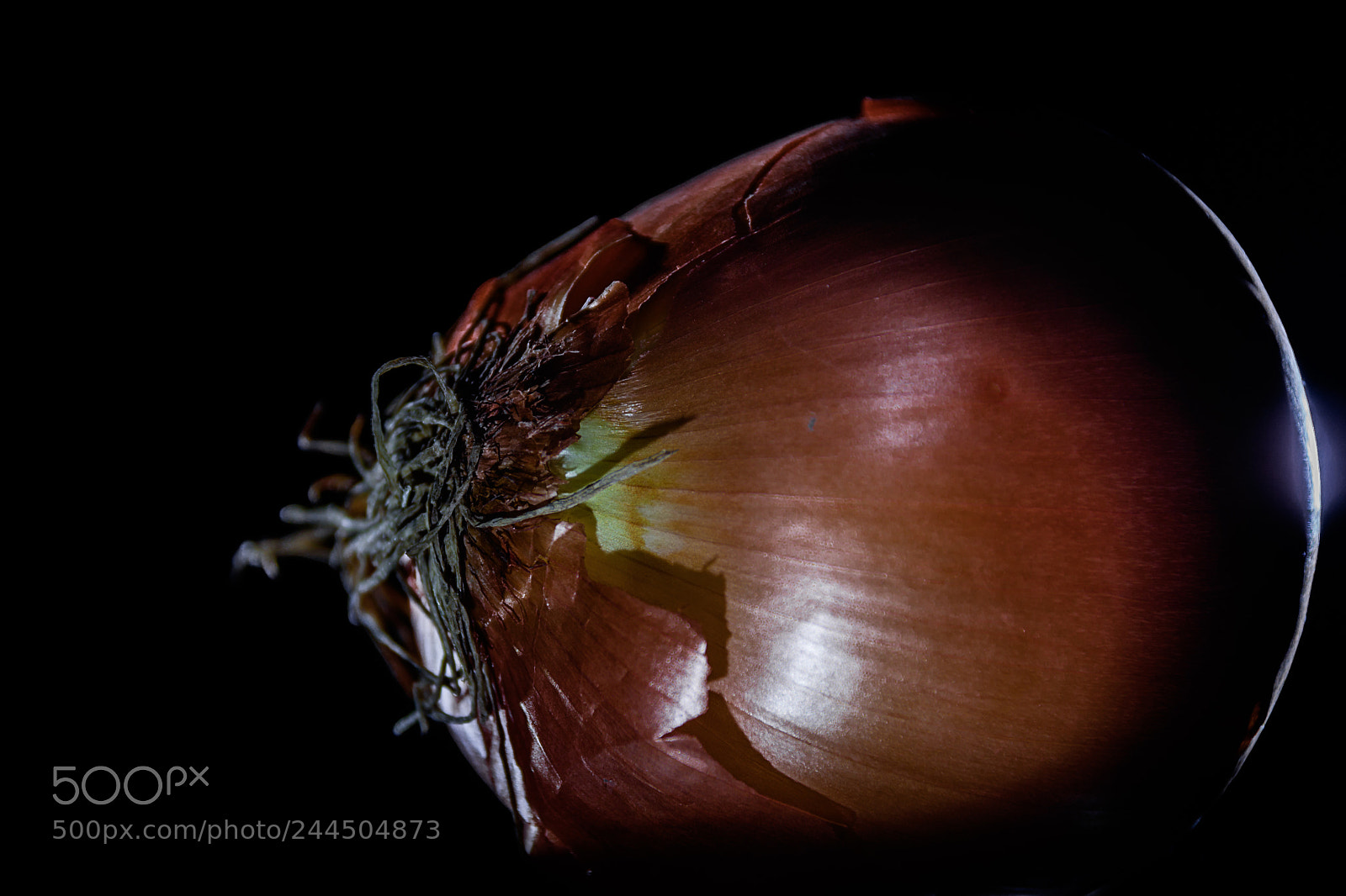 Nikon D7200 sample photo. Onion photography