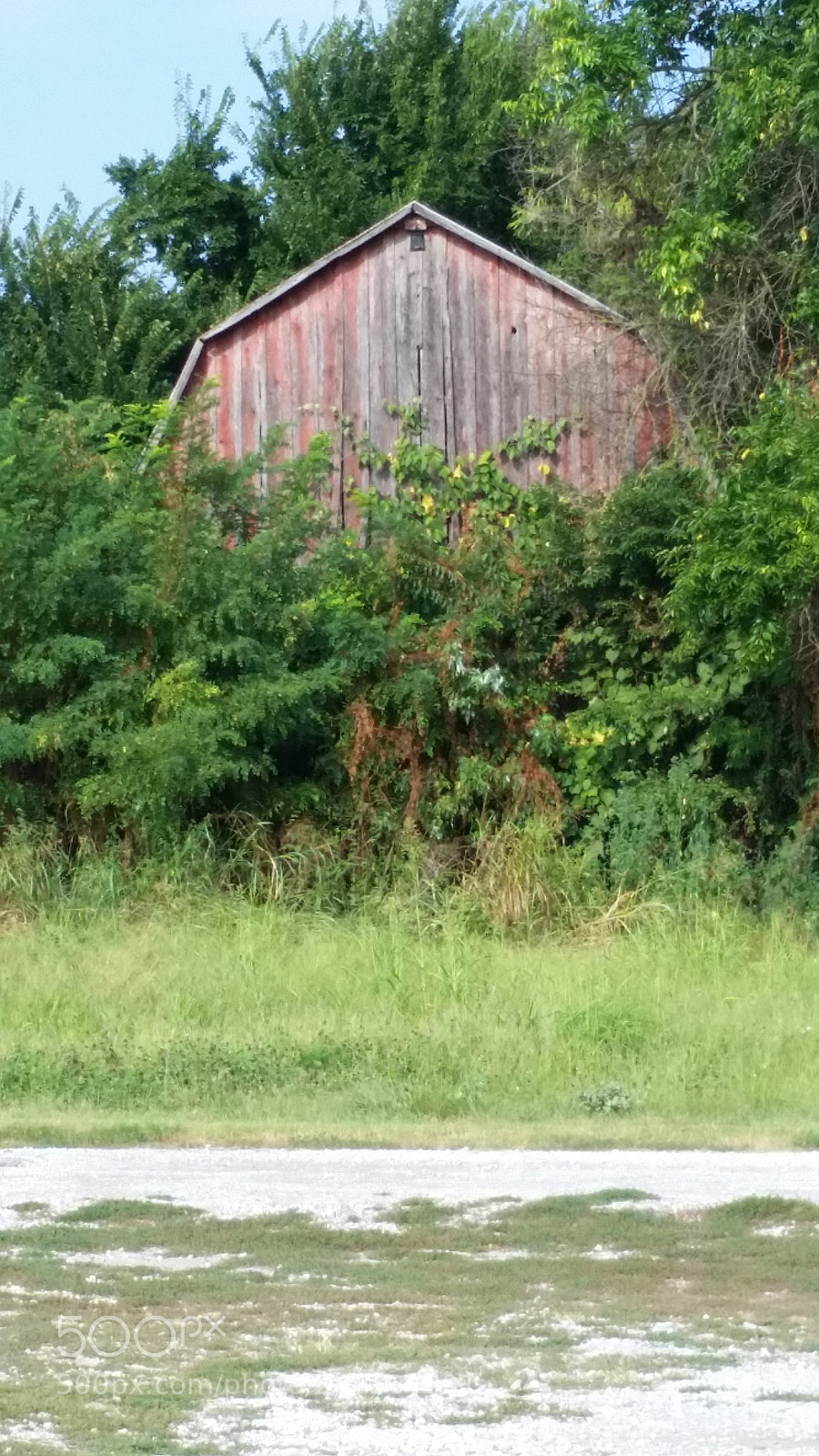 Samsung Galaxy S5 sample photo. Forgottenbarn.jpg photography