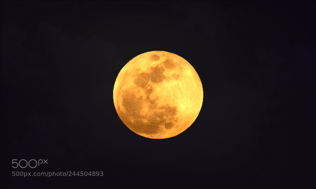 Nikon D3100 sample photo. Blood moon photography