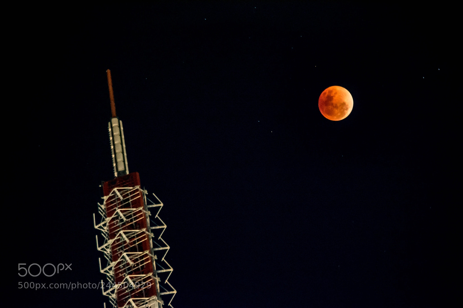 Nikon D7100 sample photo. Blood moon photography