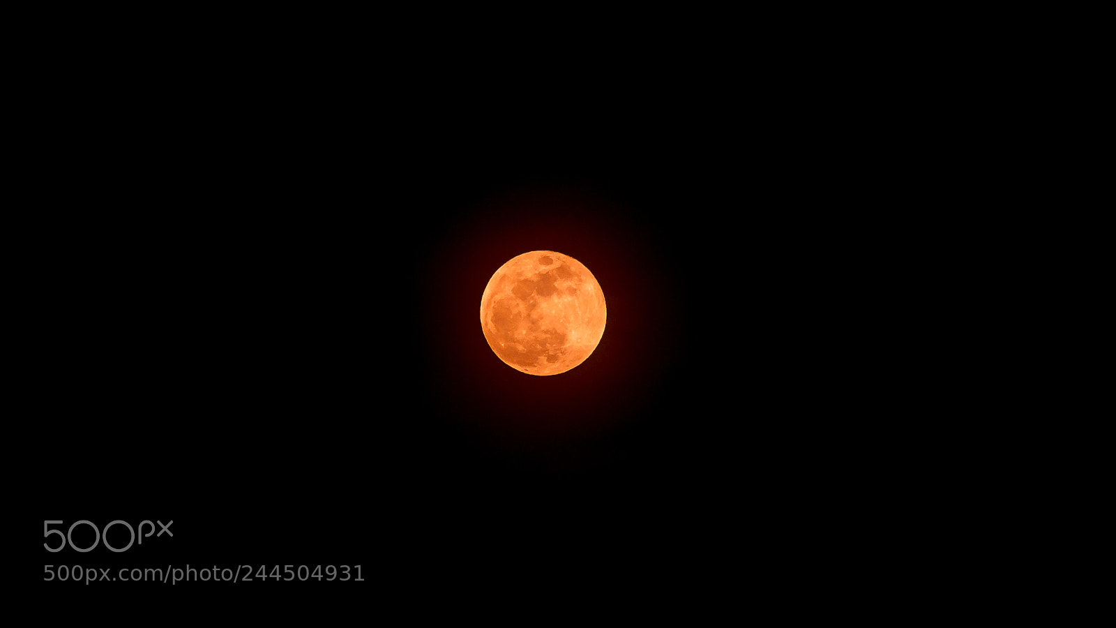 Nikon D7200 sample photo. Bloody moon photography