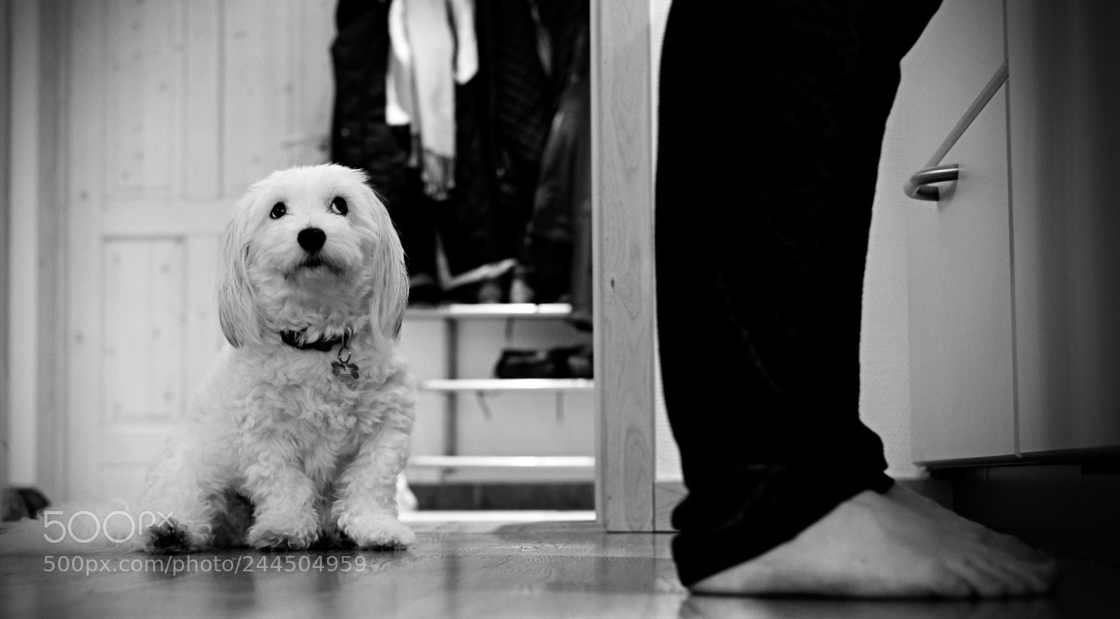 Fujifilm X-T2 sample photo. Please photography