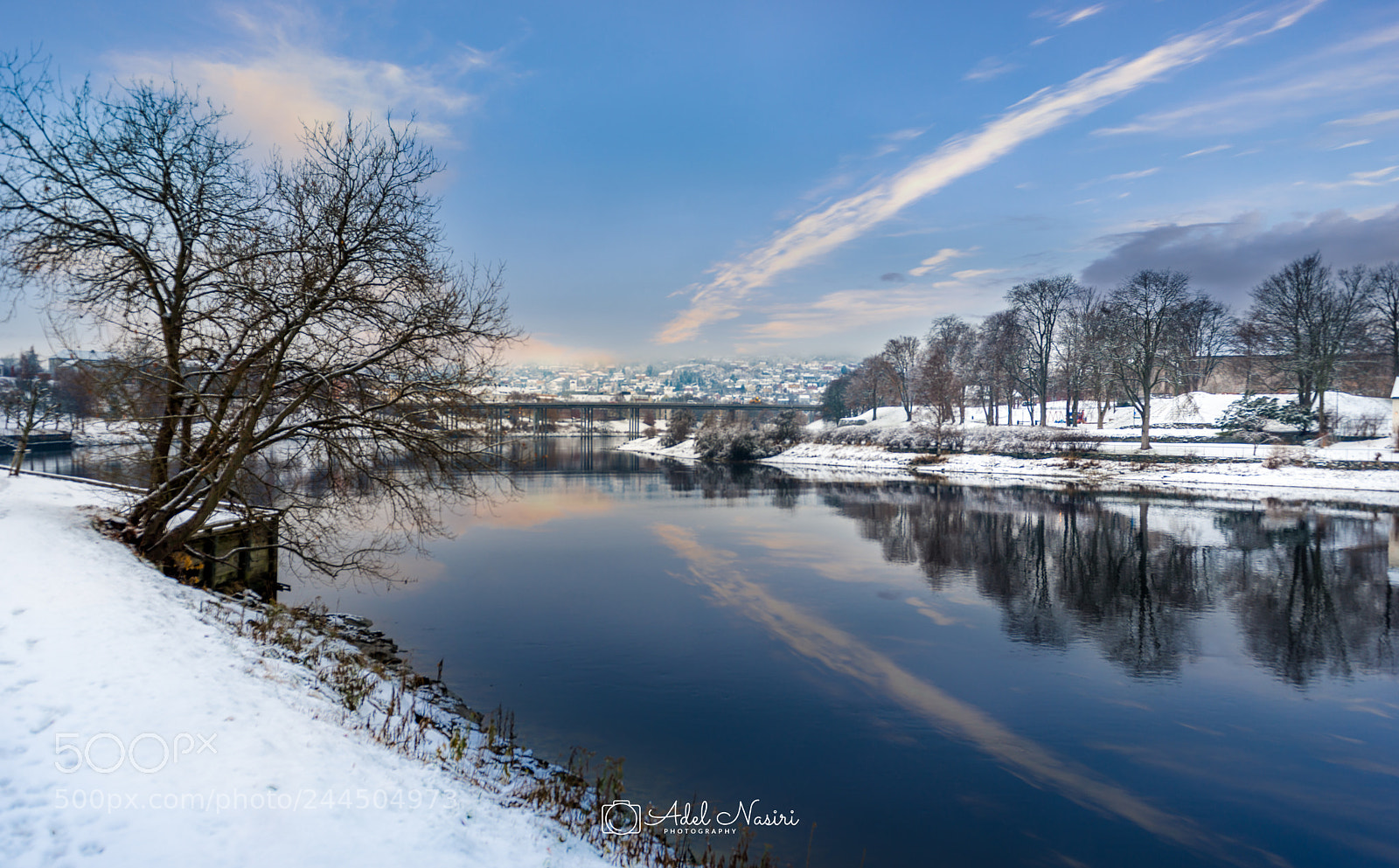 Nikon D800 sample photo. Elgeseter bridge in winter photography