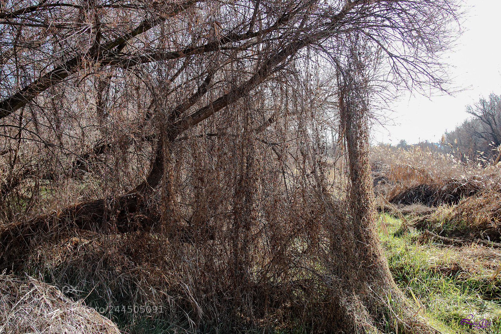 Canon EOS 750D (EOS Rebel T6i / EOS Kiss X8i) sample photo. Untitled photography
