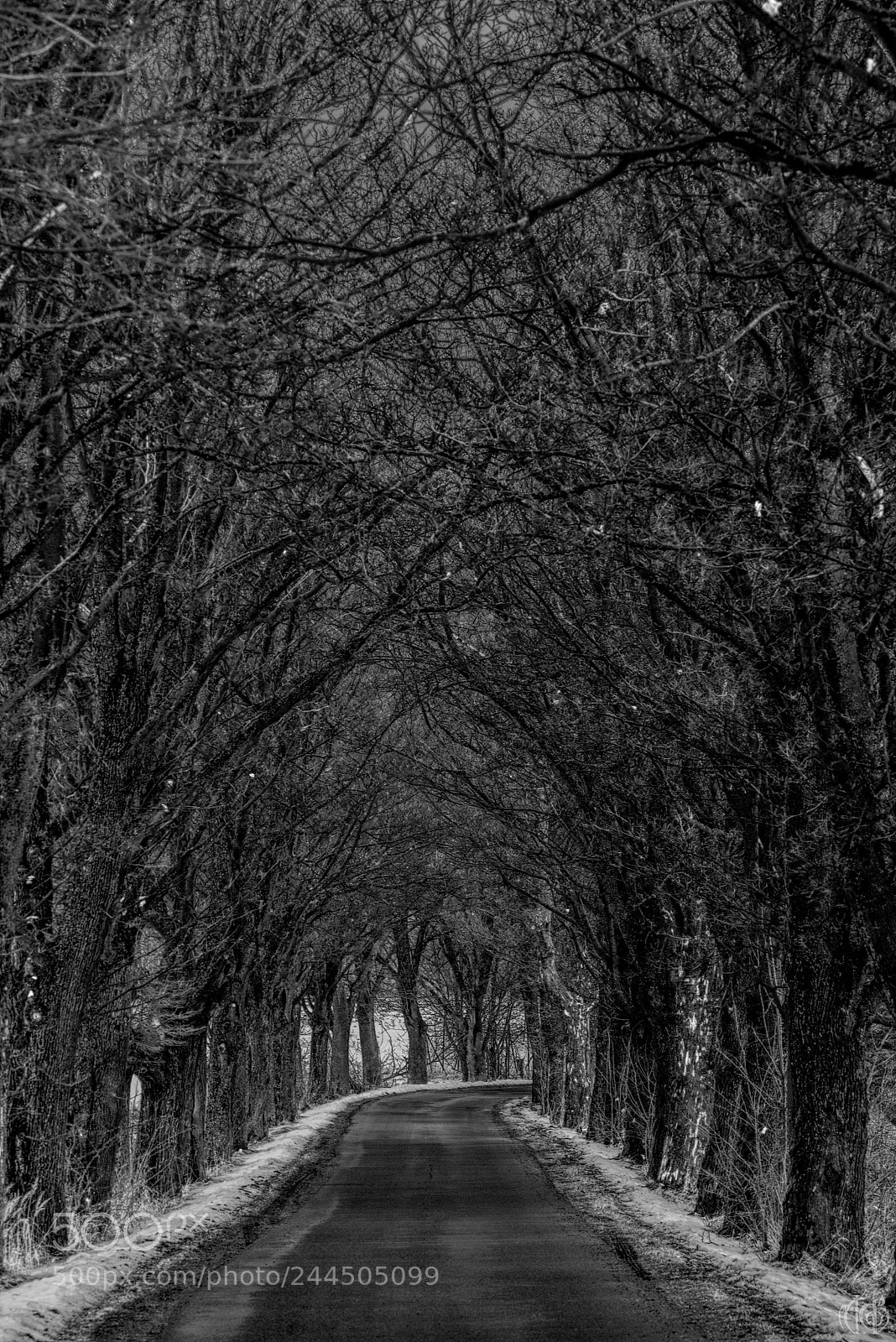 Canon EOS 750D (EOS Rebel T6i / EOS Kiss X8i) sample photo. Parkway photography
