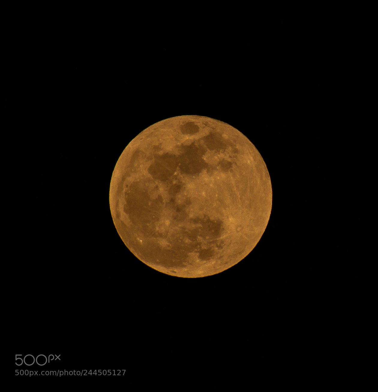 Canon EOS 100D (EOS Rebel SL1 / EOS Kiss X7) sample photo. Super blue blood moon photography
