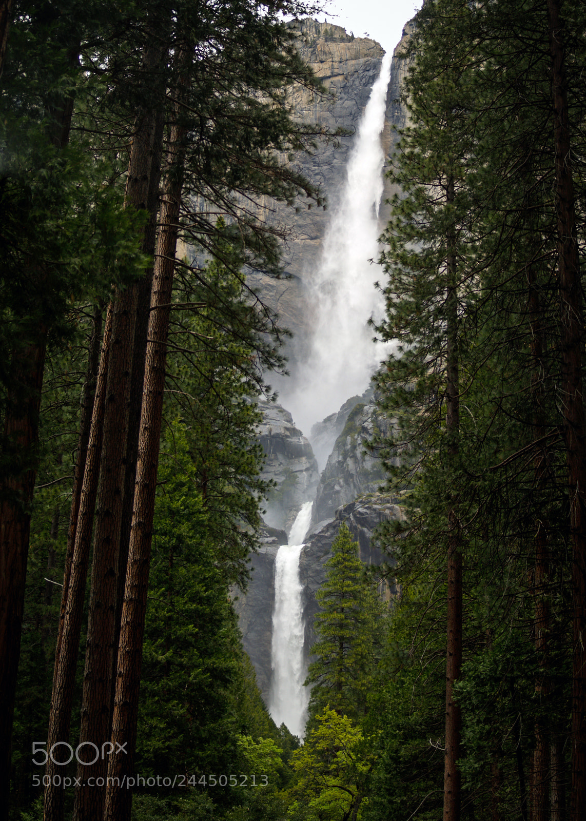 Olympus E-500 (EVOLT E-500) sample photo. Yosemite falls framed photography