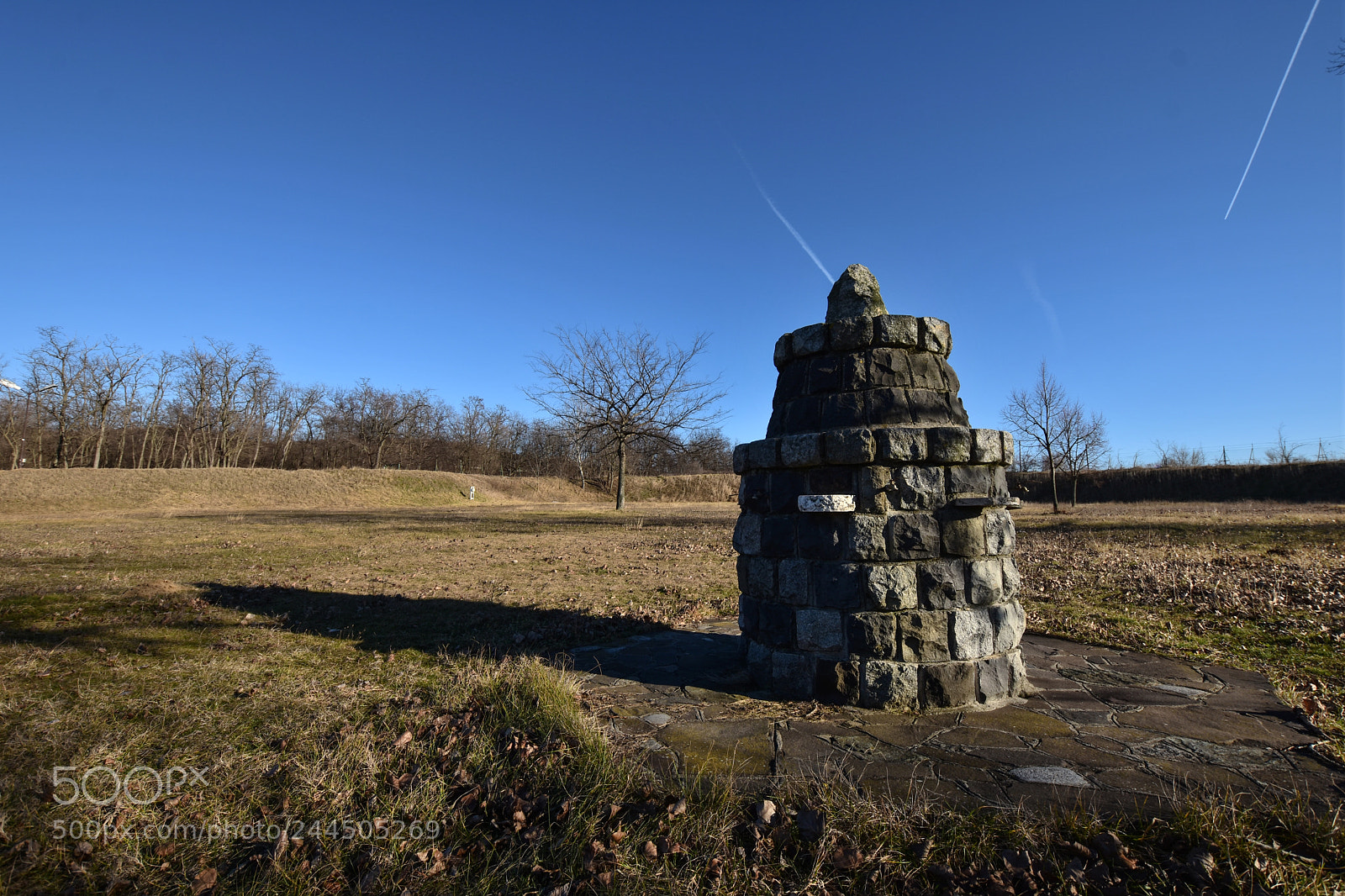 Nikon D7200 sample photo. Untitled photography