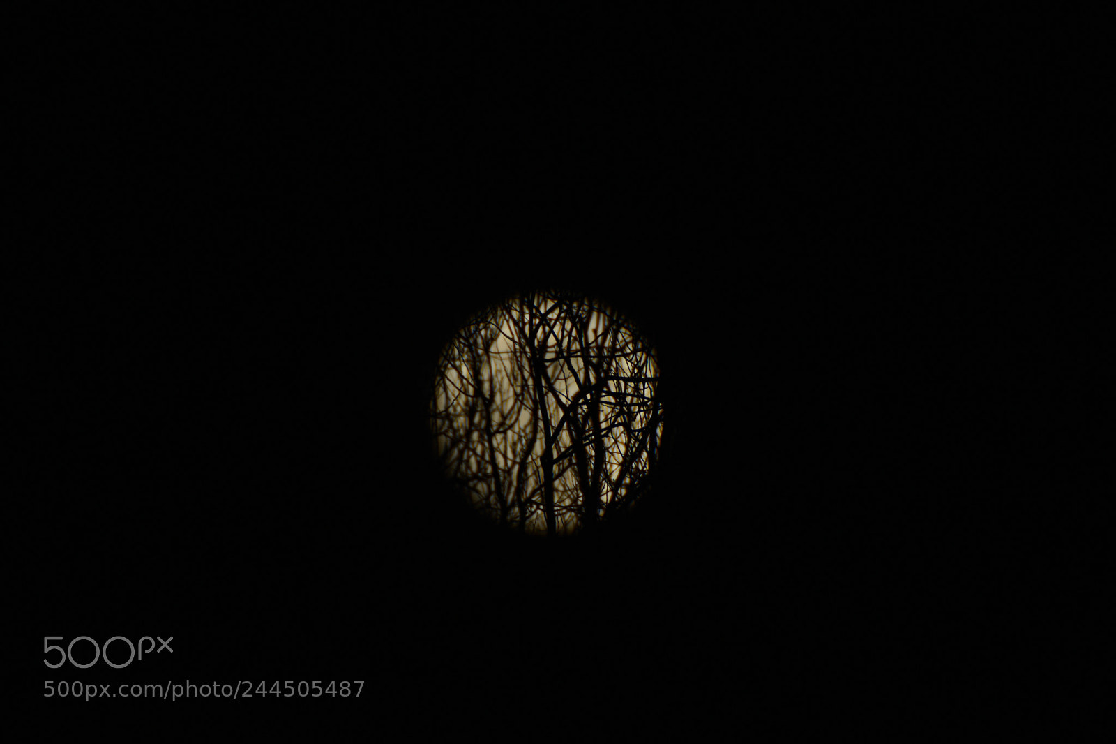 Nikon D7200 sample photo. Untitled photography