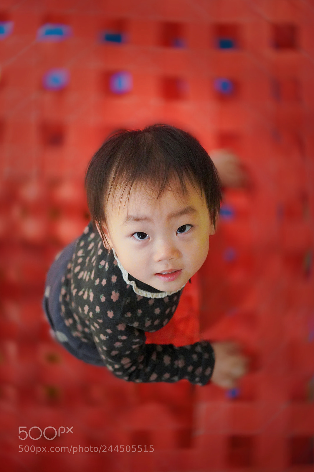Sony a7R III sample photo. Untitled photography