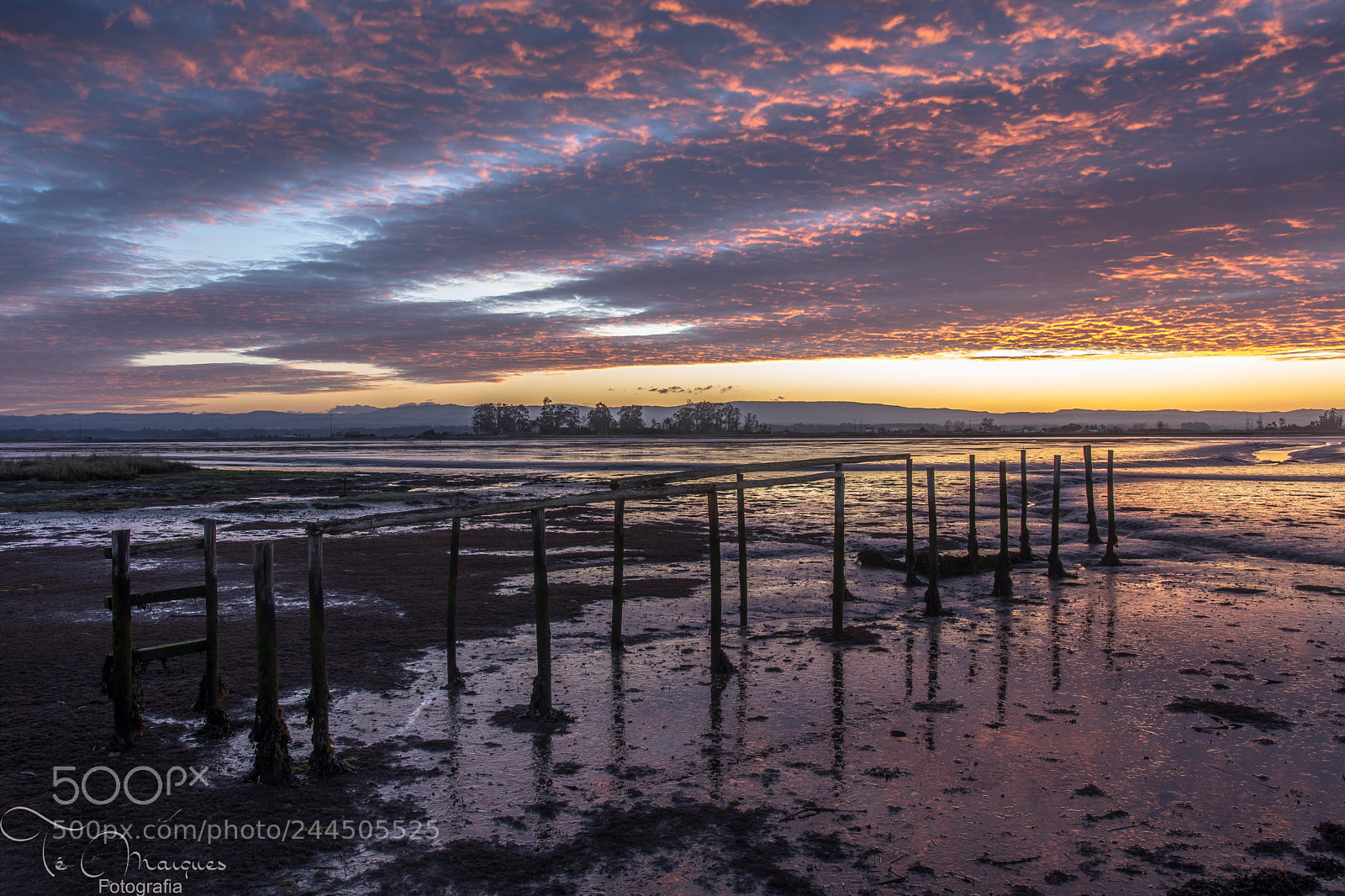 Nikon D7200 sample photo. Low tide photography