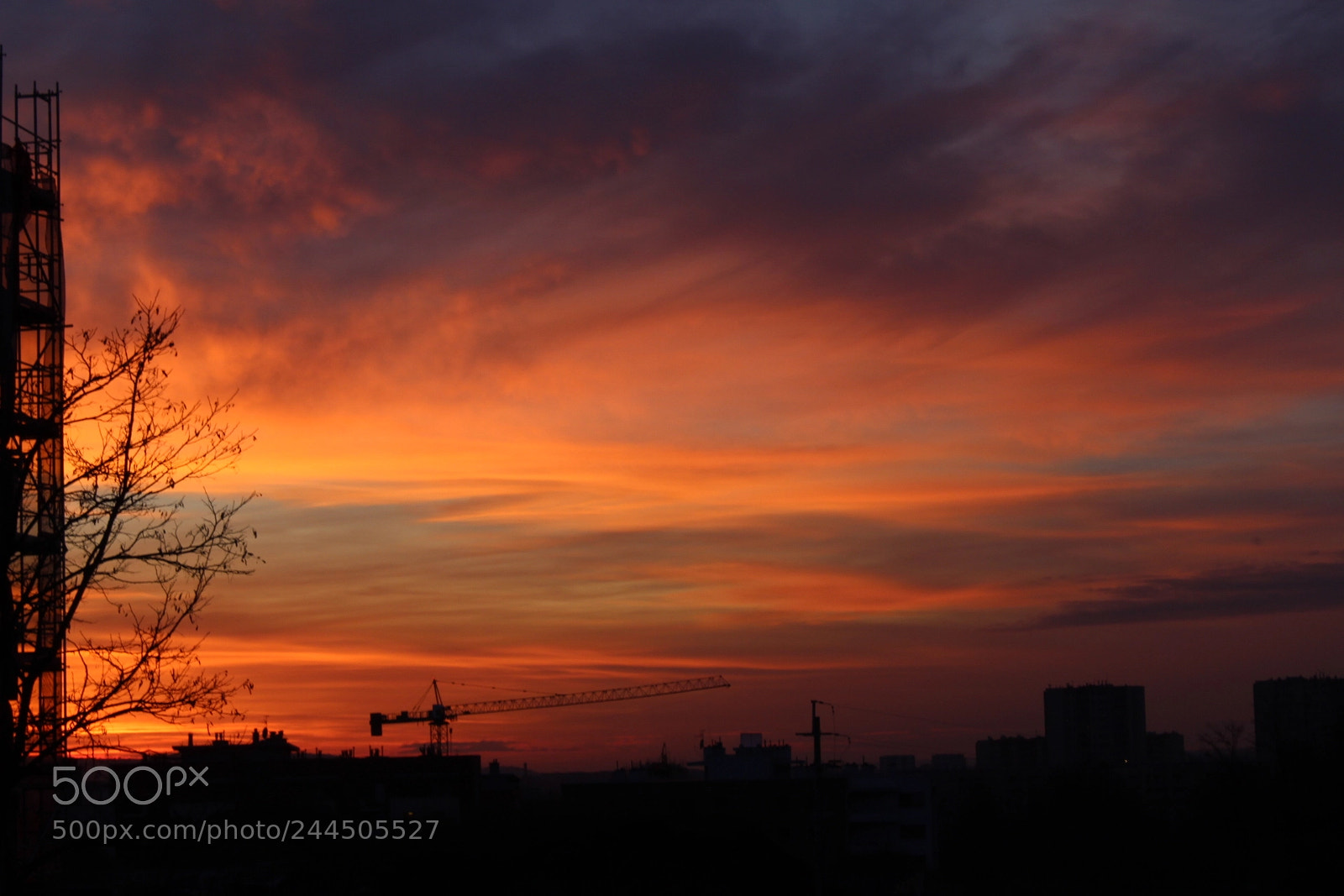 Canon EF-S 18-55mm F3.5-5.6 III sample photo. Sun... the best painter photography